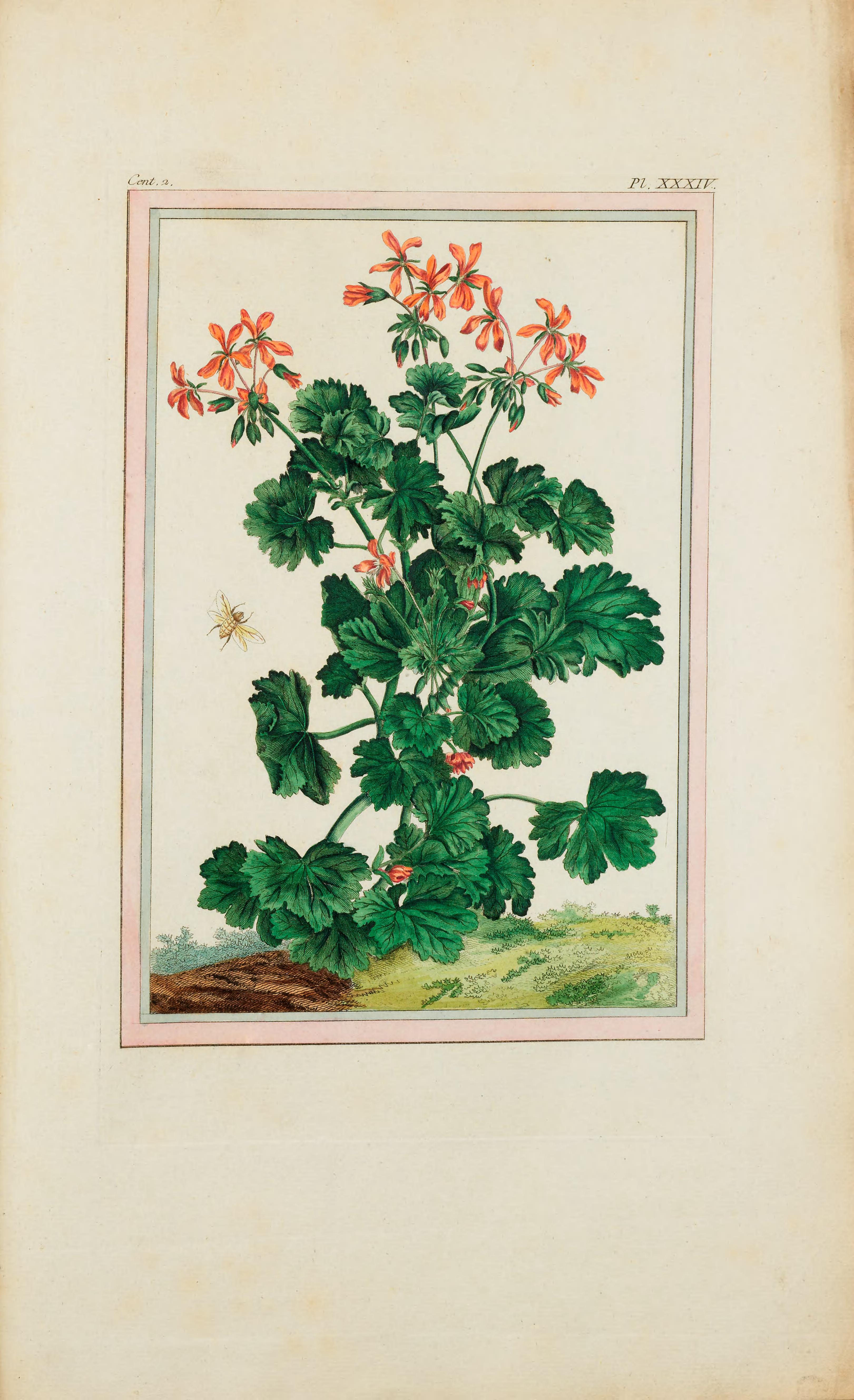 no full size  illustration available (3a)