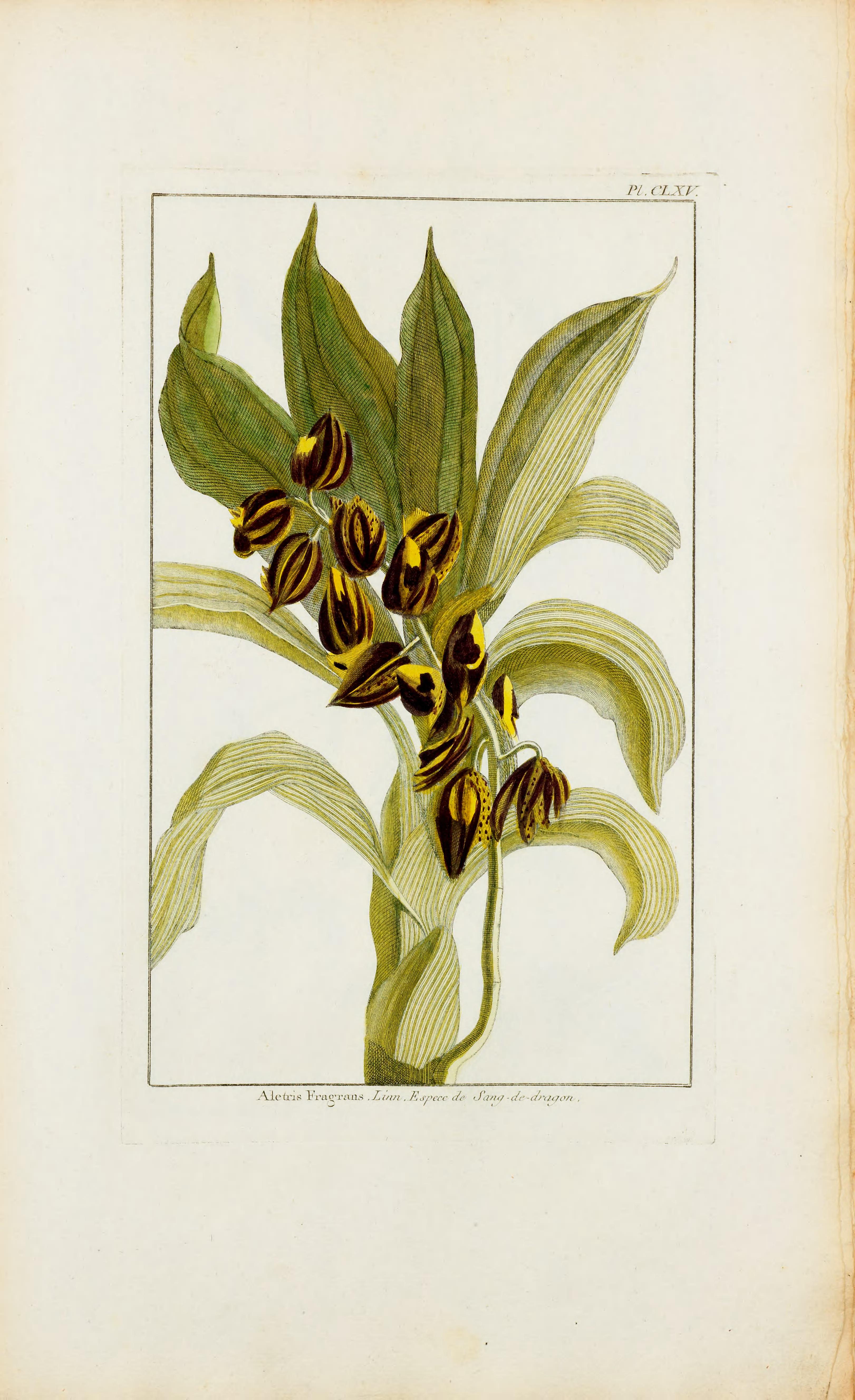 no full size  illustration available (3a)