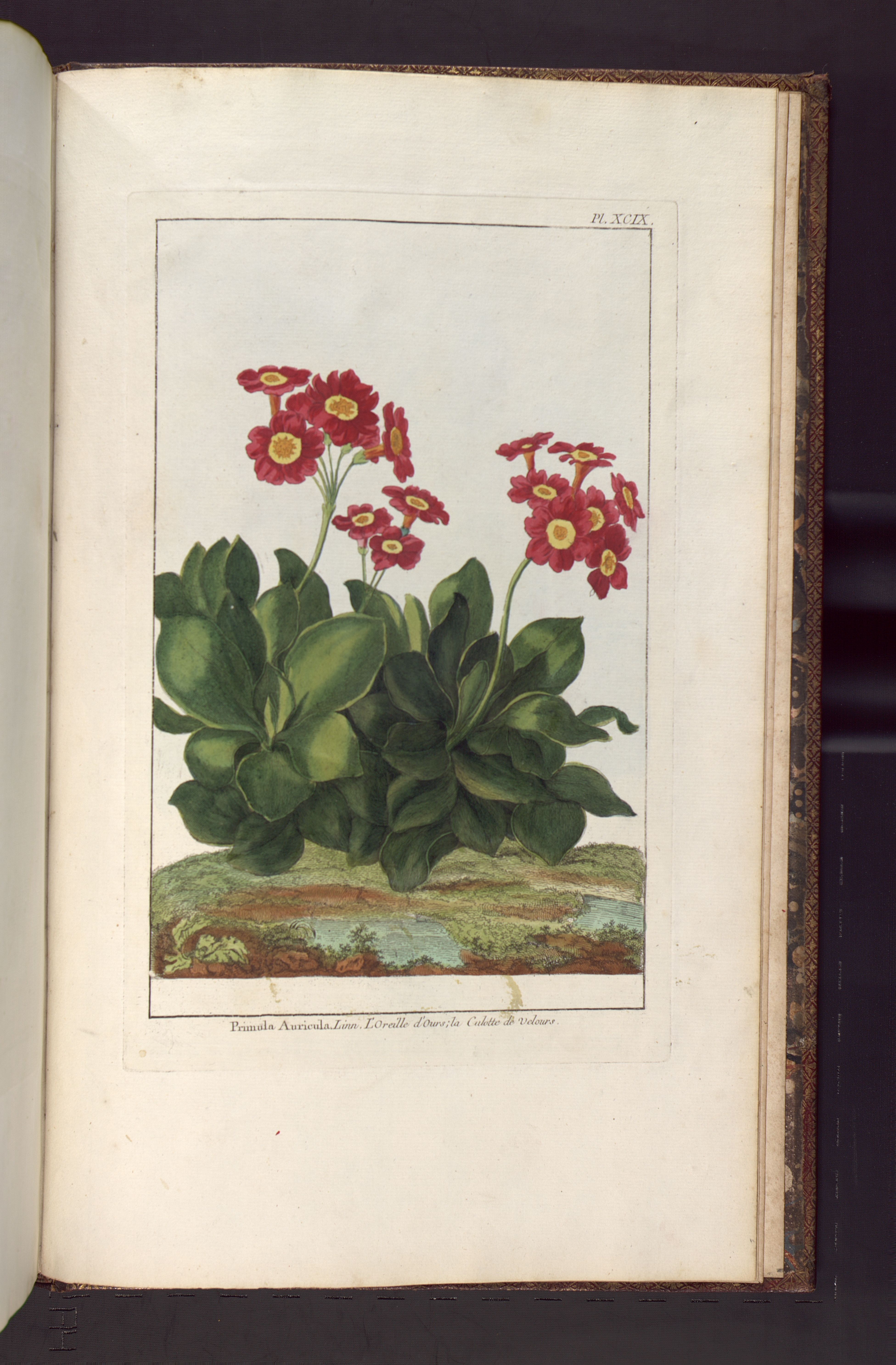 no full size  illustration available (3a)