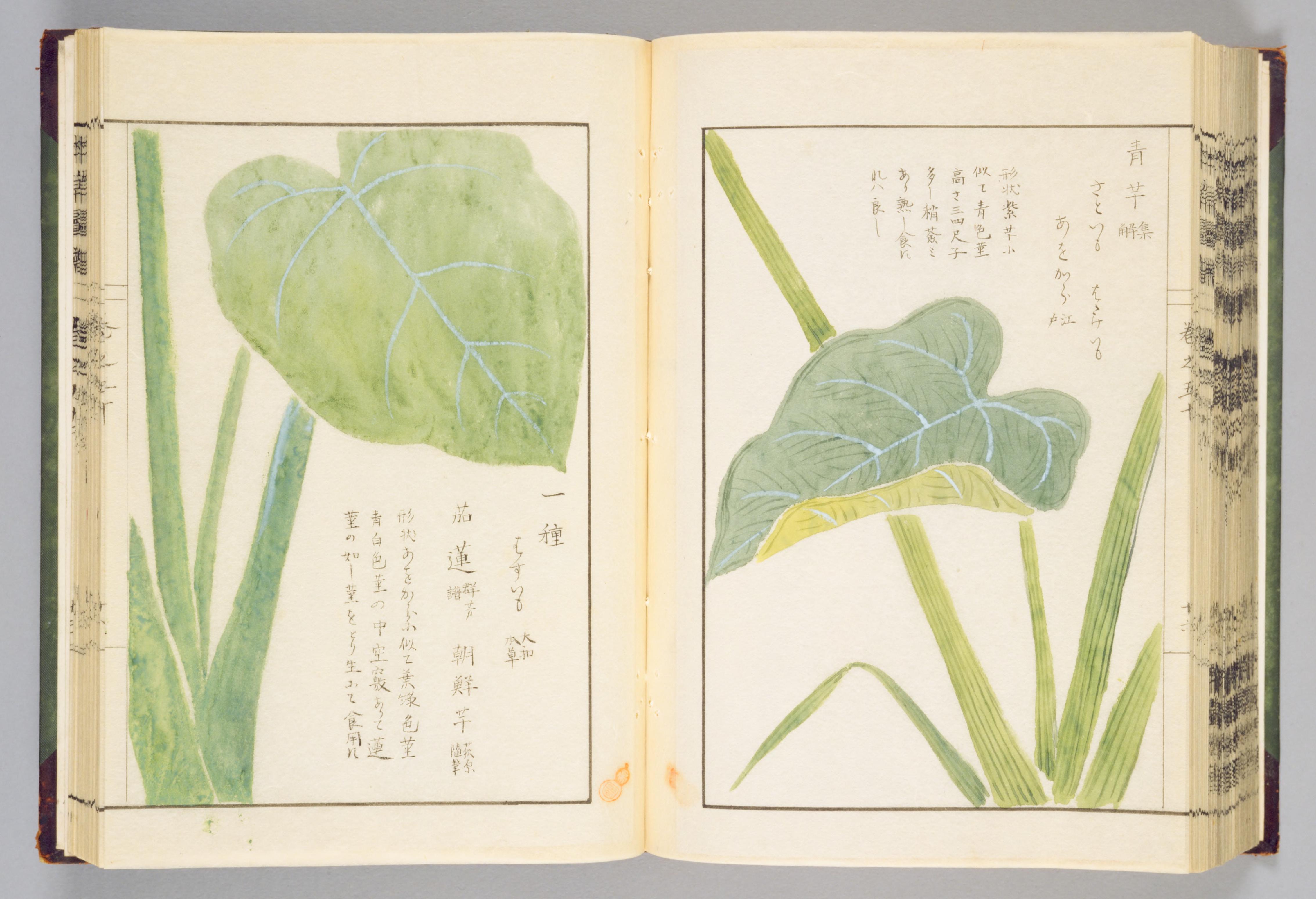 no full size  illustration available (3a)