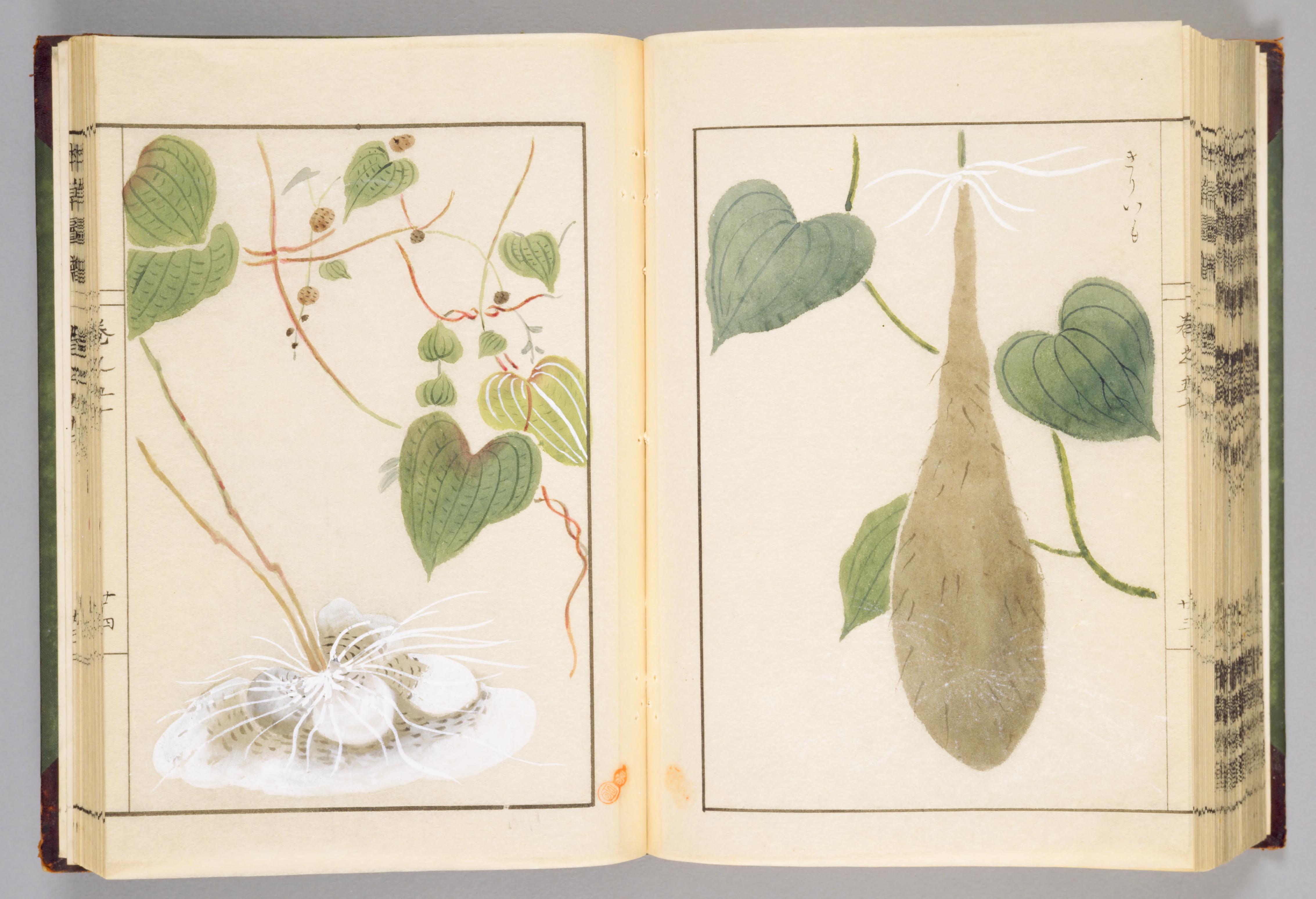 no full size  illustration available (3a)