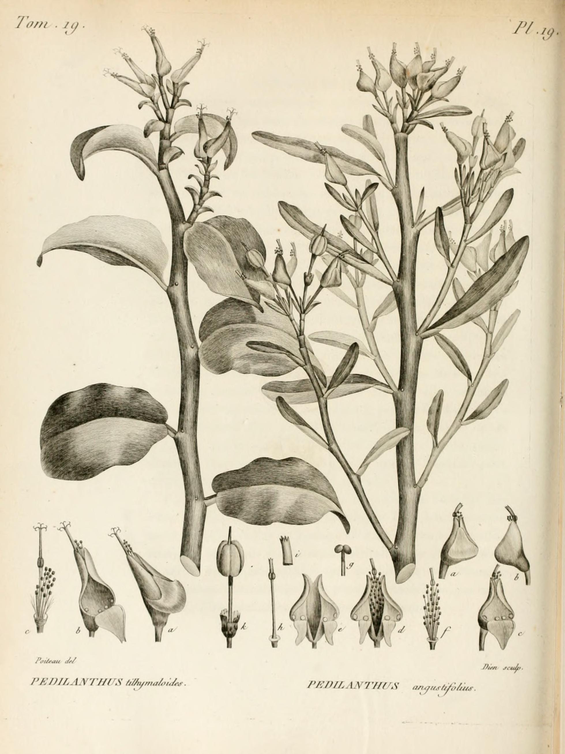 no full size  illustration available (3a)