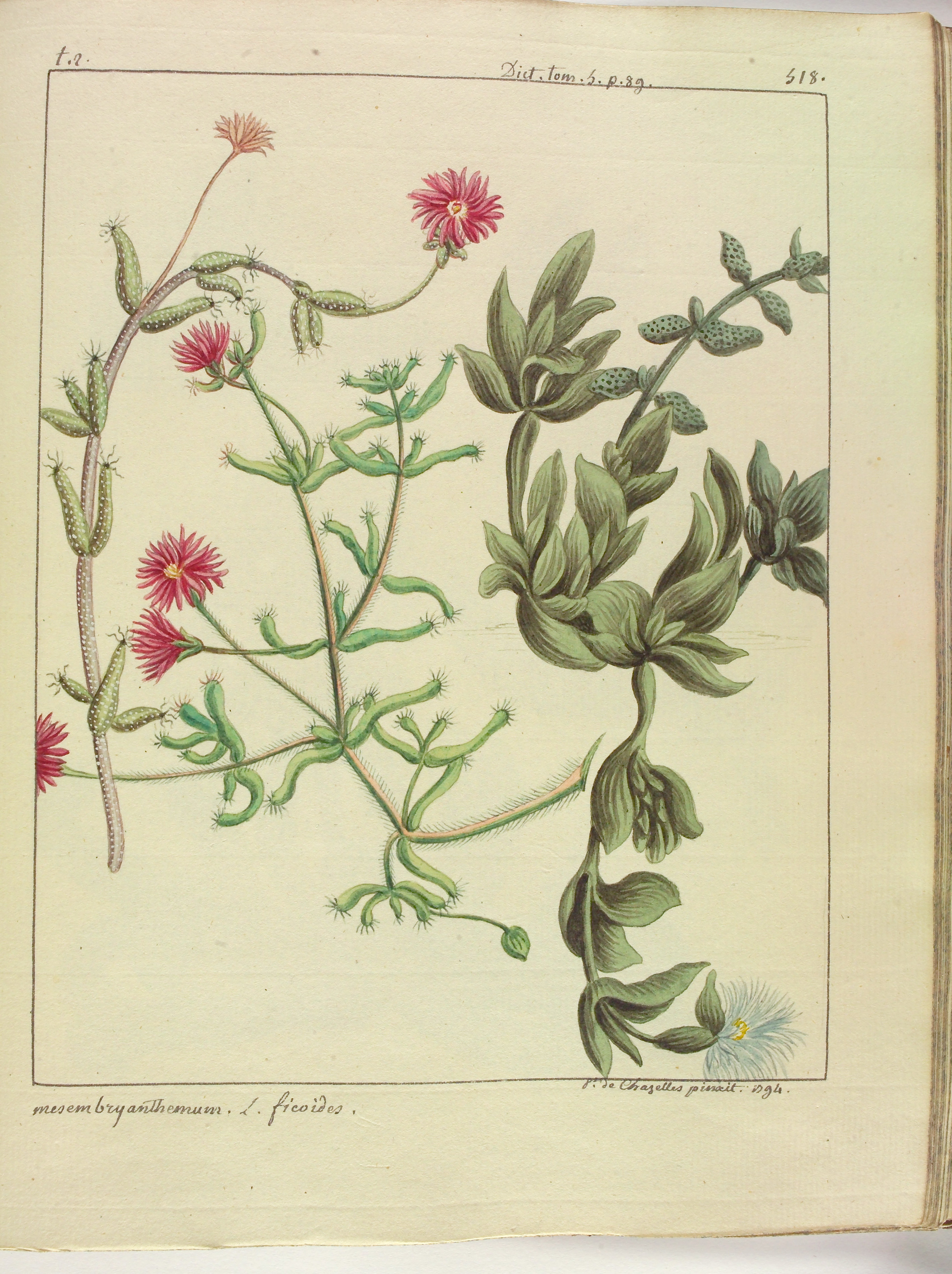 no full size  illustration available (3a)