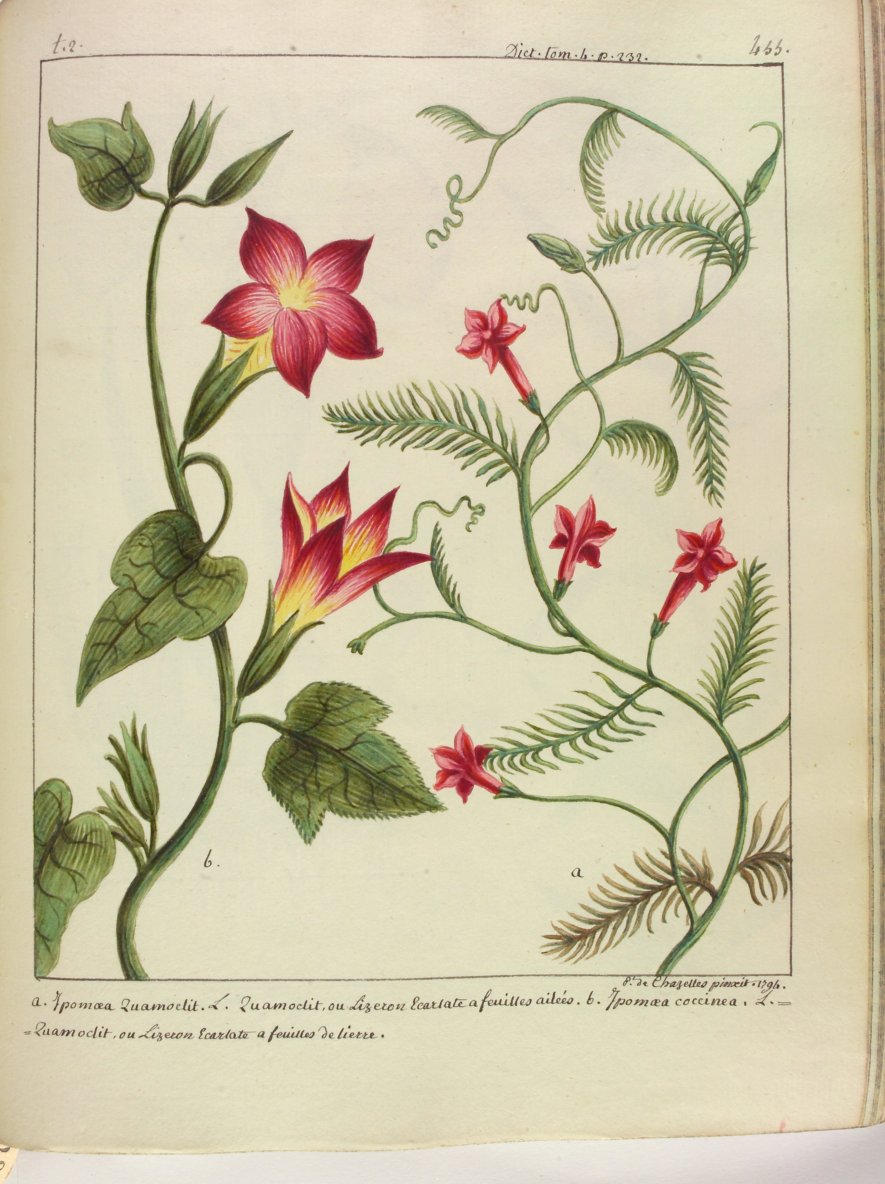 no full size  illustration available (3a)