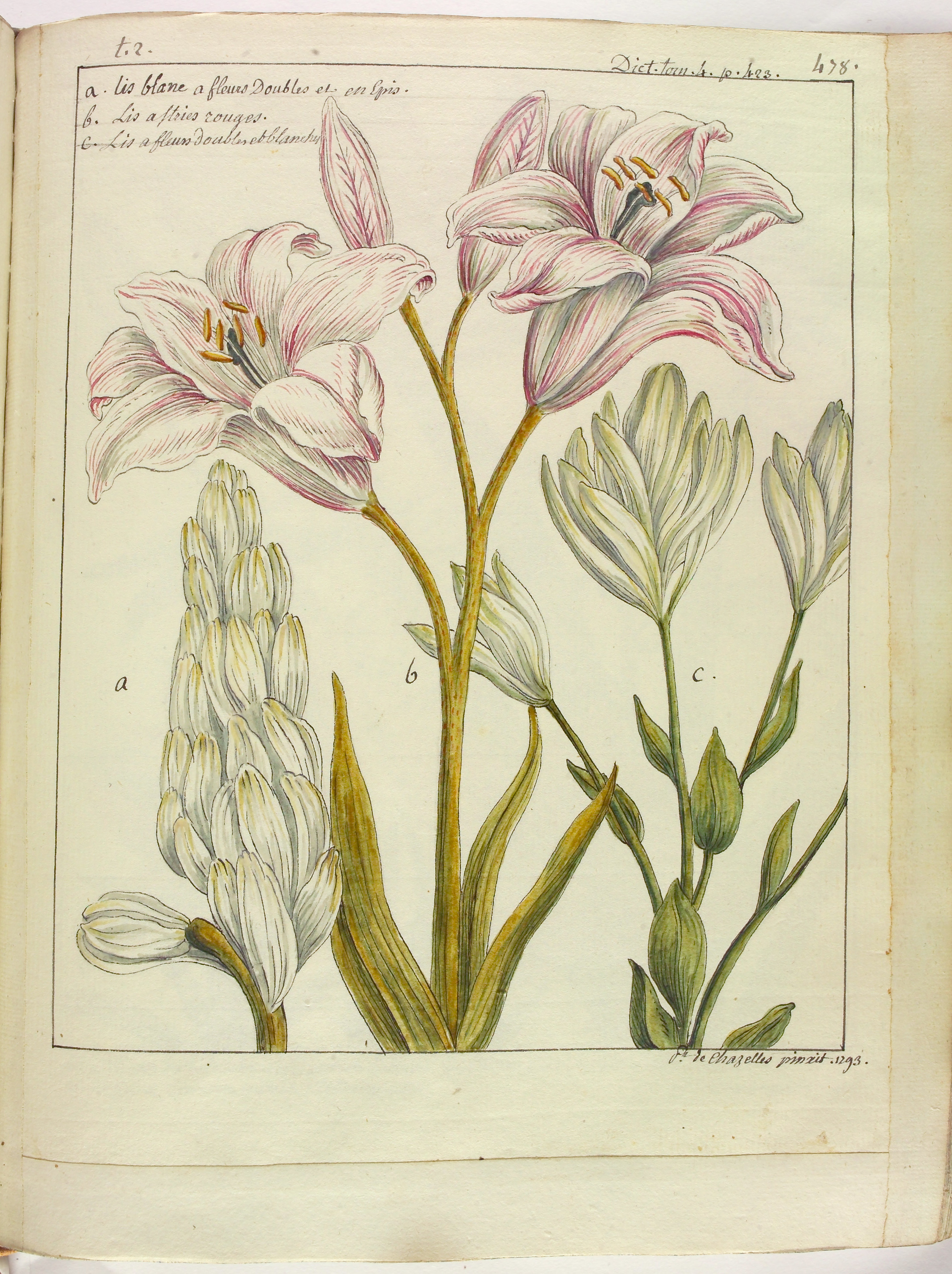 no full size  illustration available (3a)