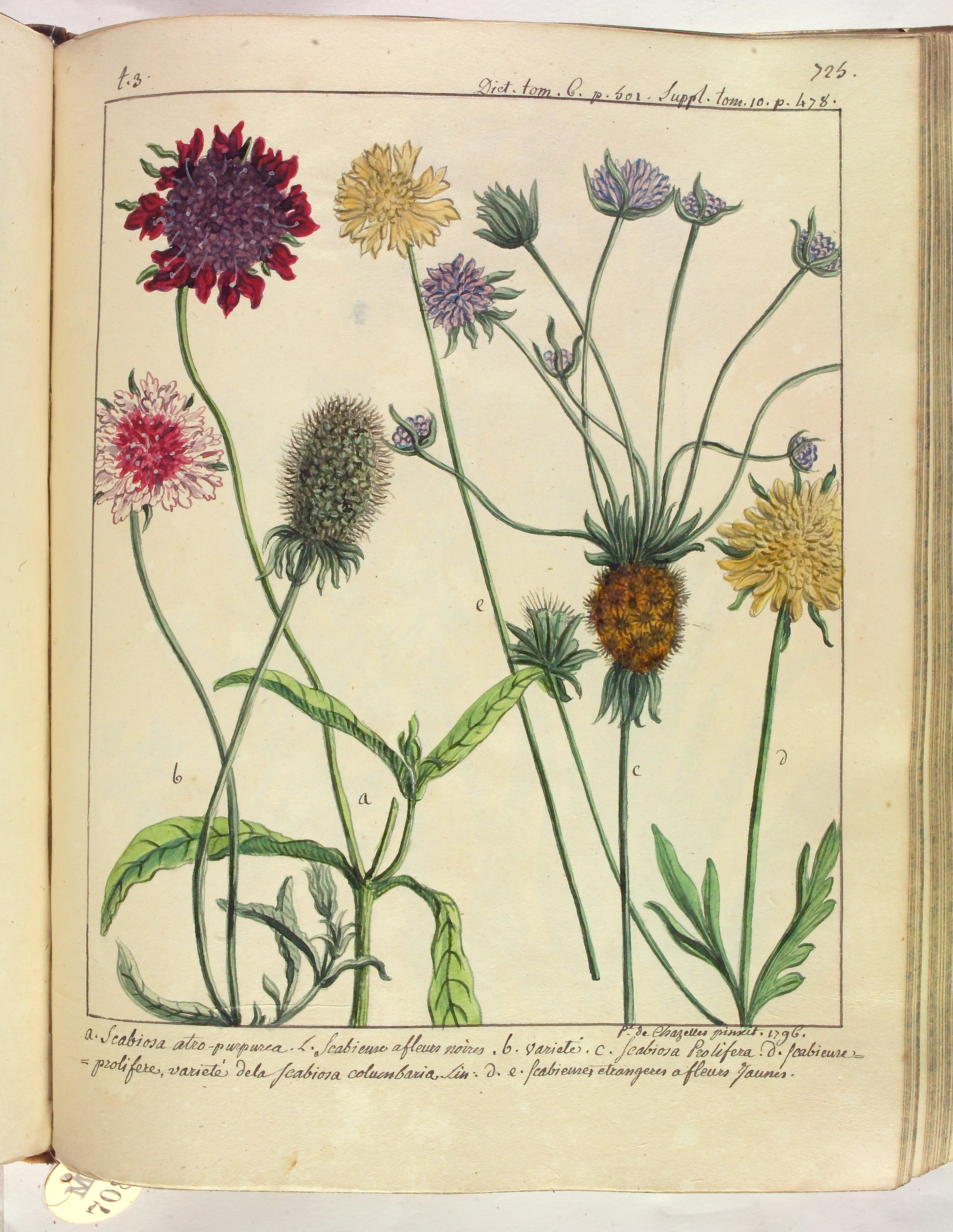 no full size  illustration available (3a)