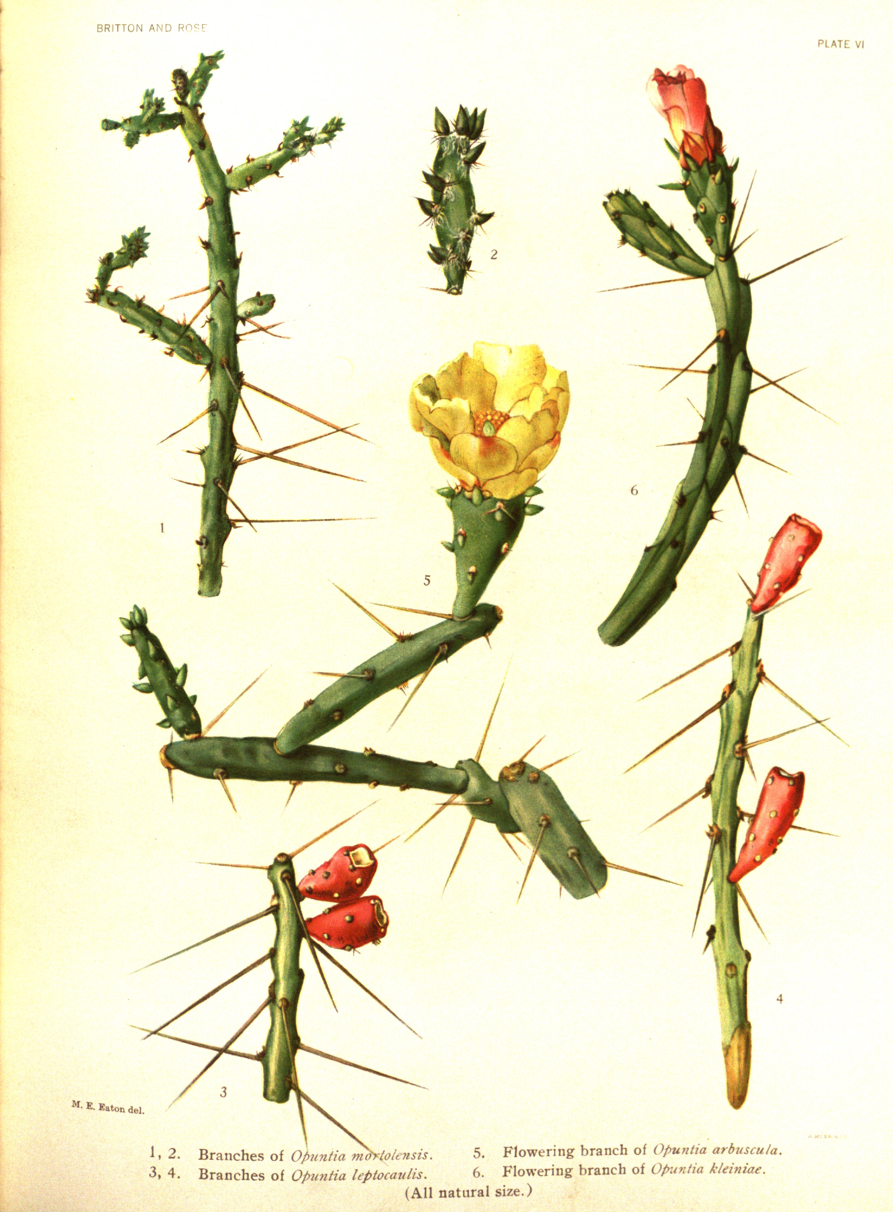 no full size  illustration available (3a)