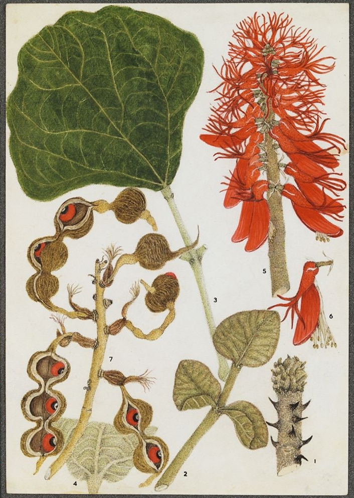 no full size  illustration available (3a)