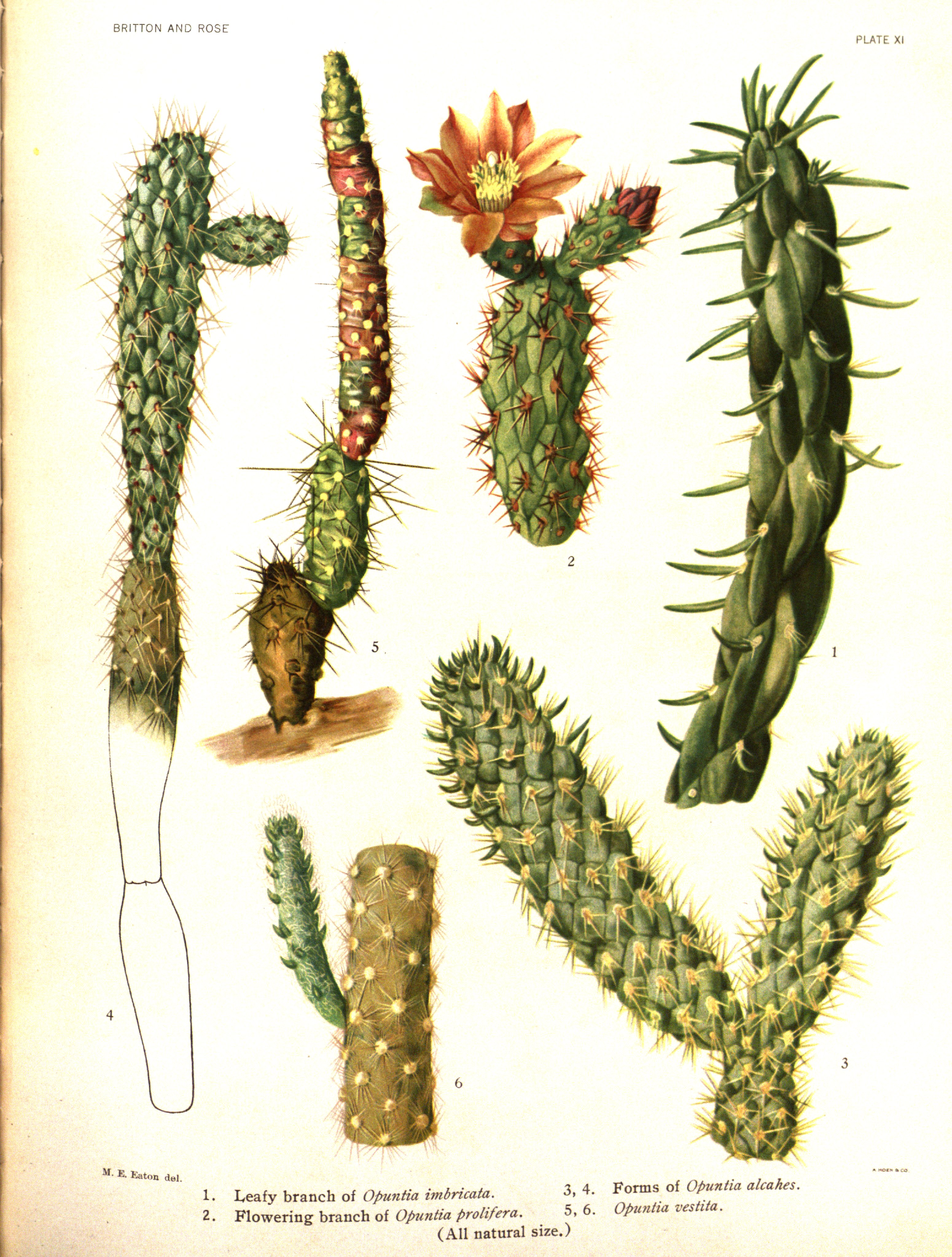 no full size  illustration available (3a)