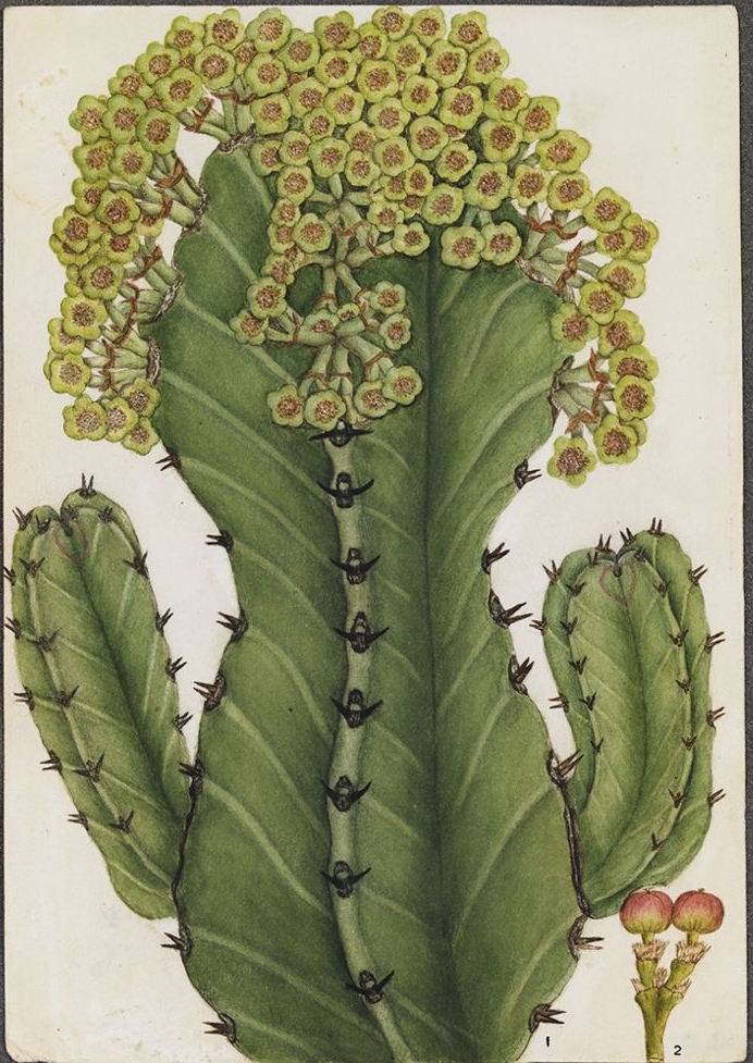 no full size  illustration available (3a)