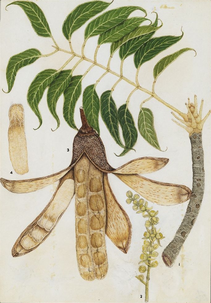 no full size  illustration available (3a)