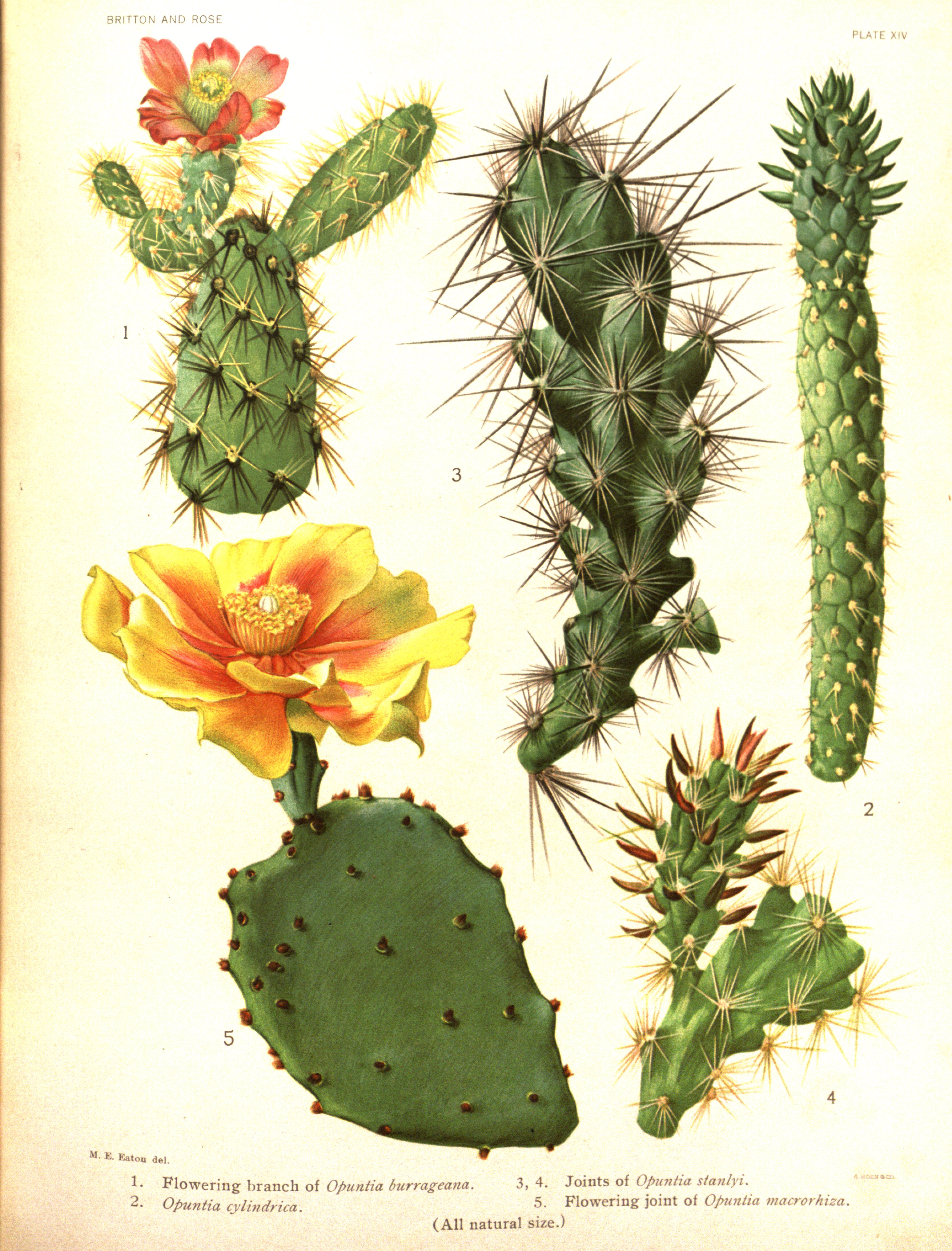 no full size  illustration available (3a)