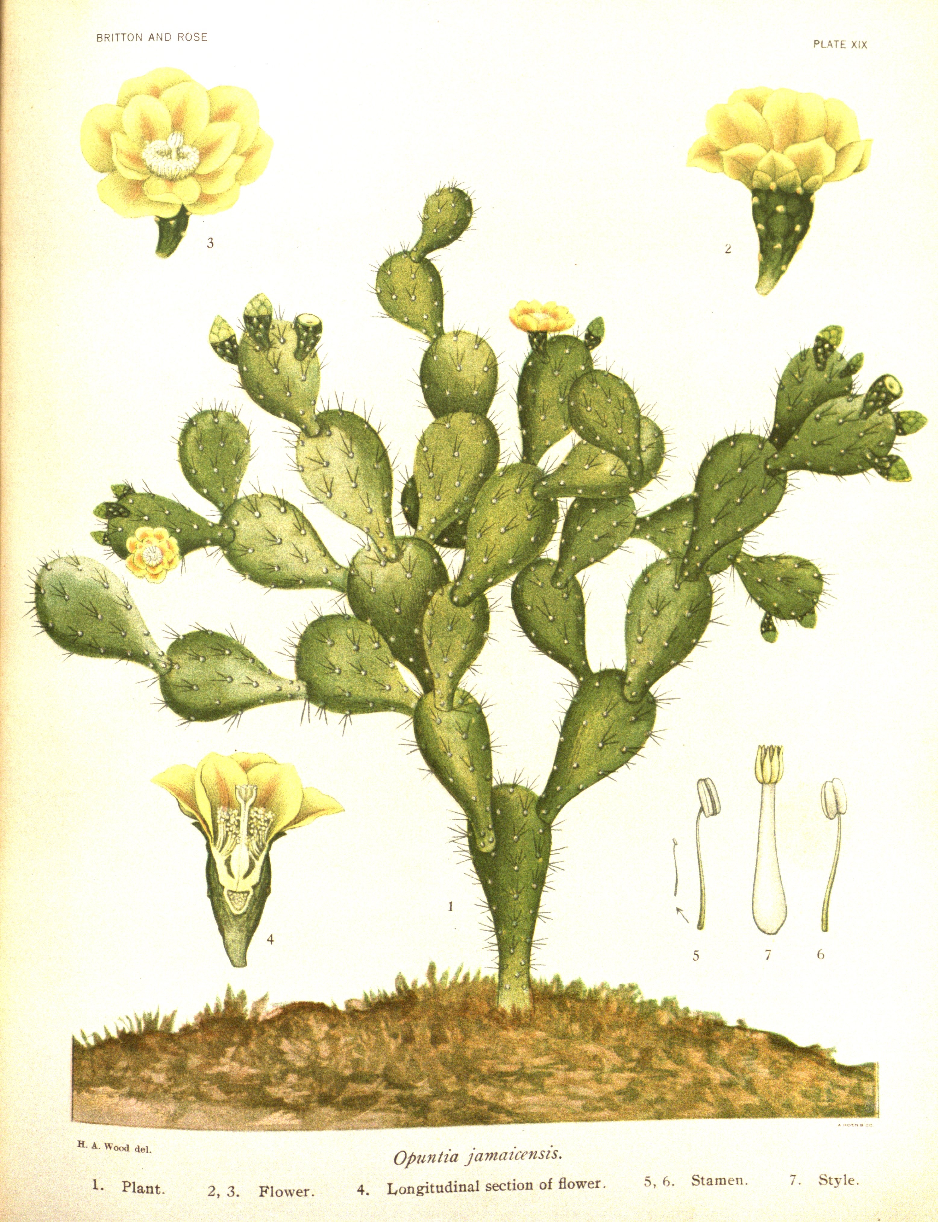 no full size  illustration available (3a)