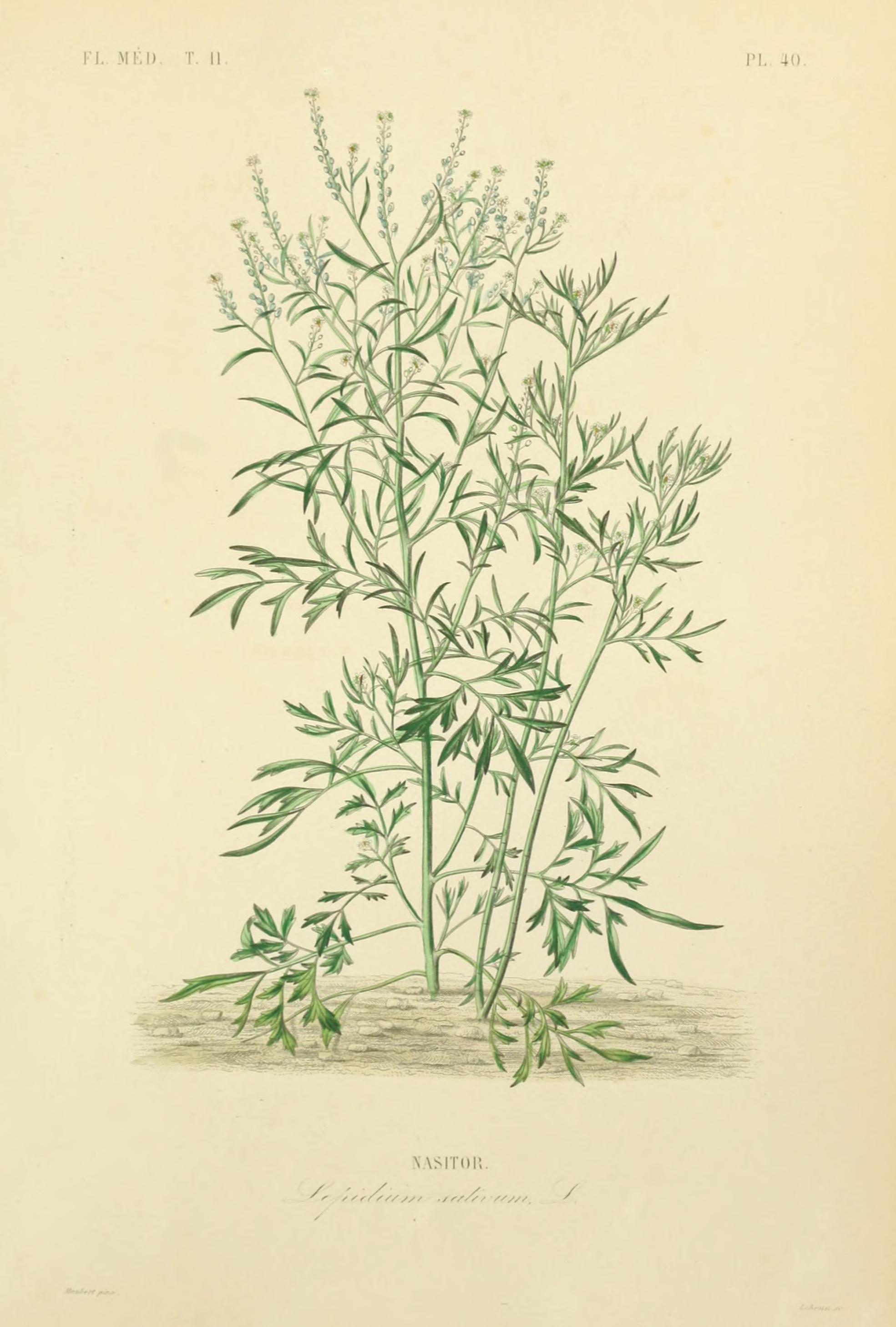 no full size  illustration available (3a)