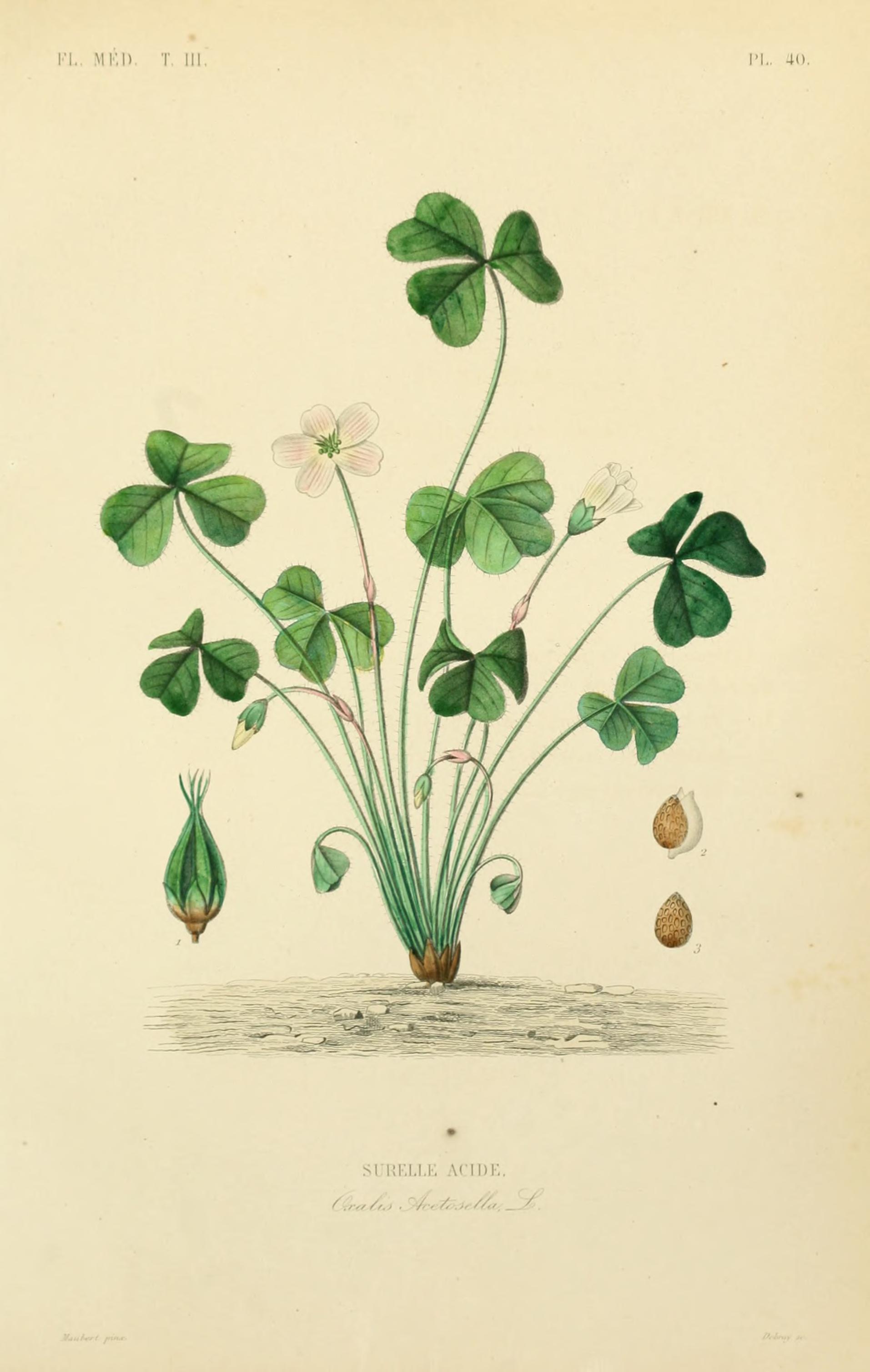 no full size  illustration available (3a)