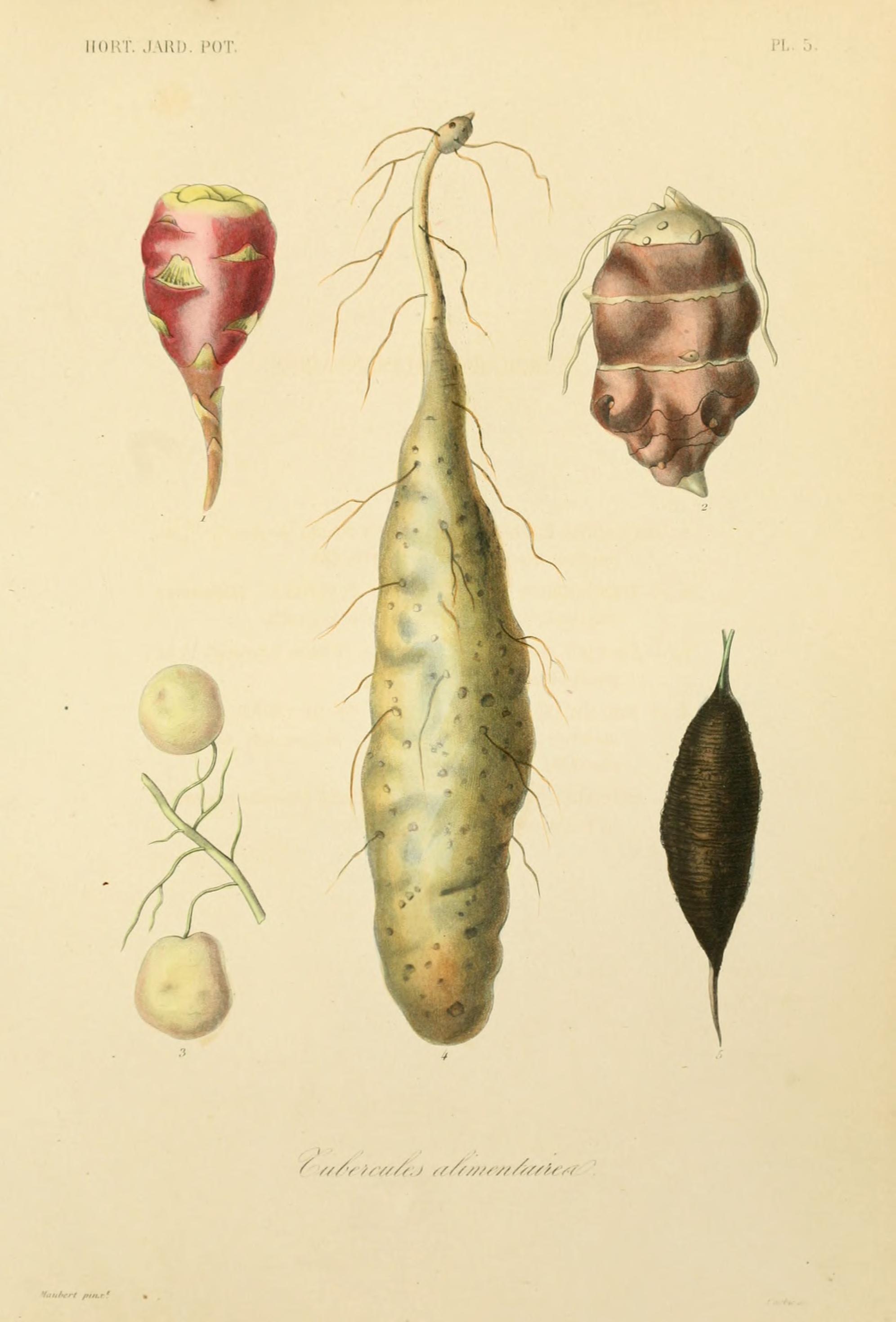 no full size  illustration available (3a)