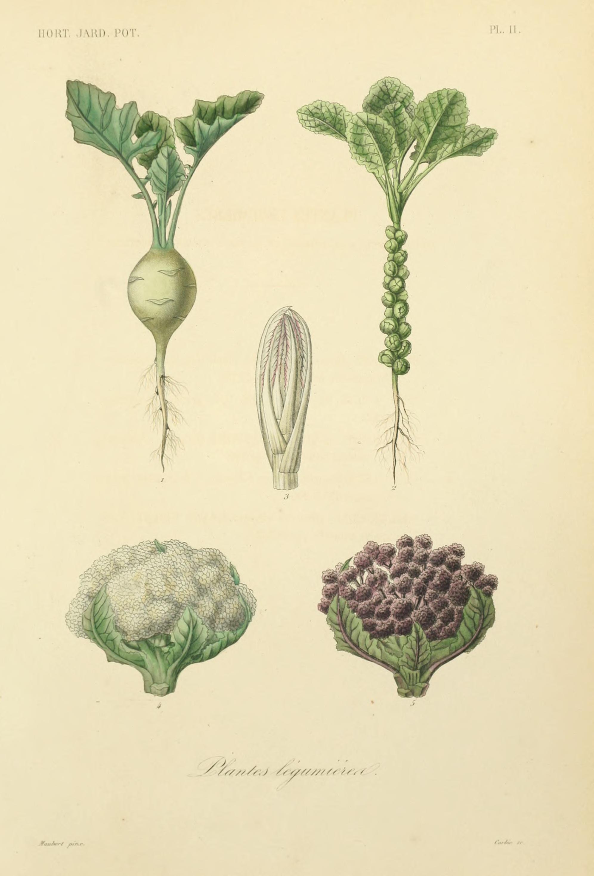 no full size  illustration available (3a)