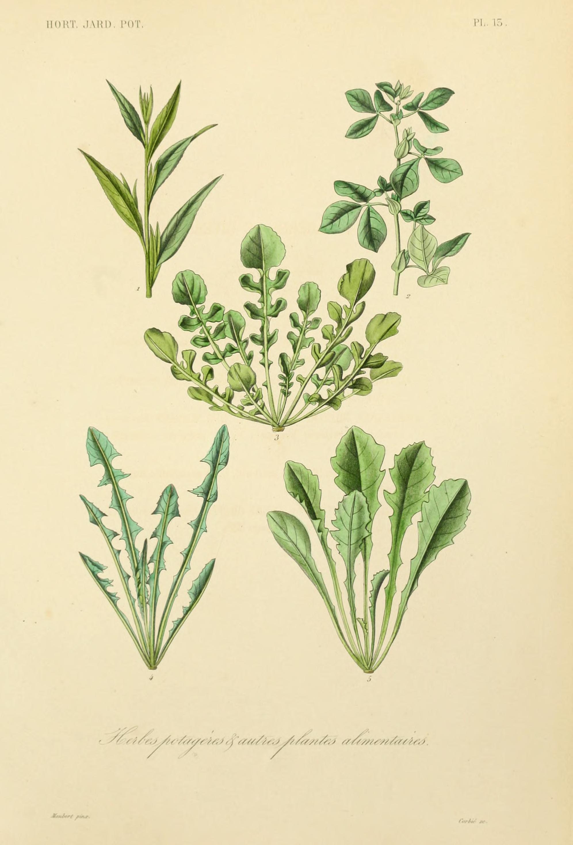 no full size  illustration available (3a)