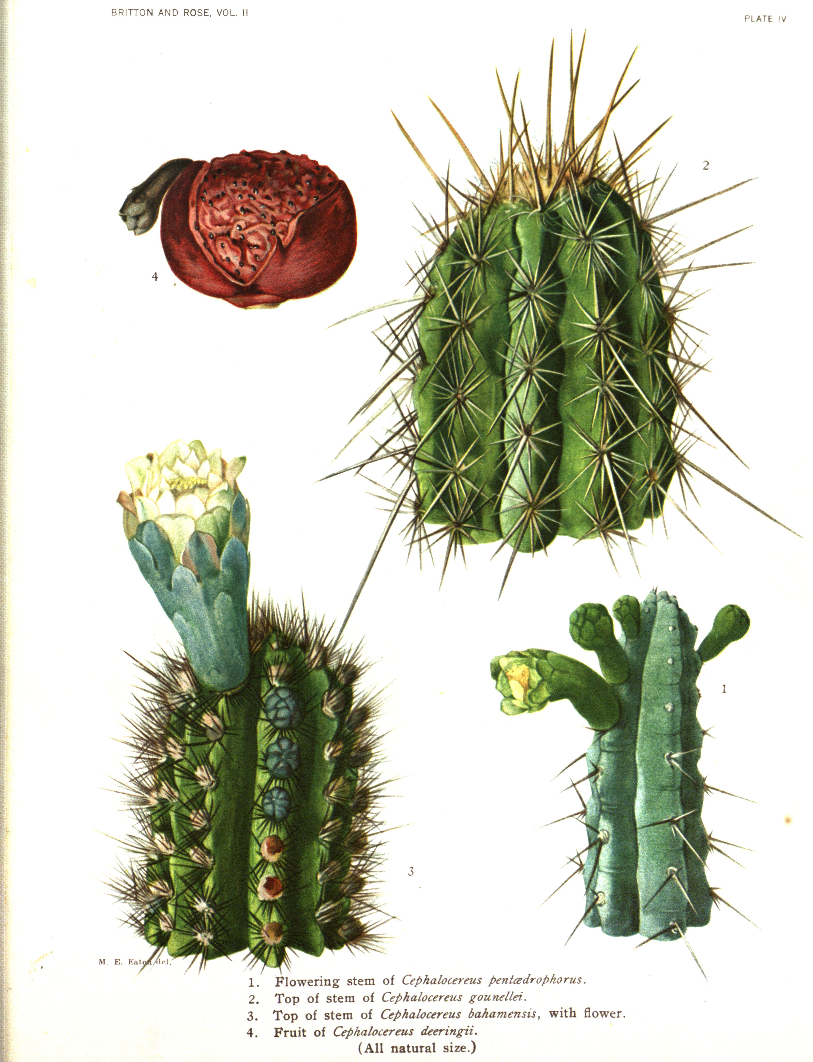 no full size  illustration available (3a)