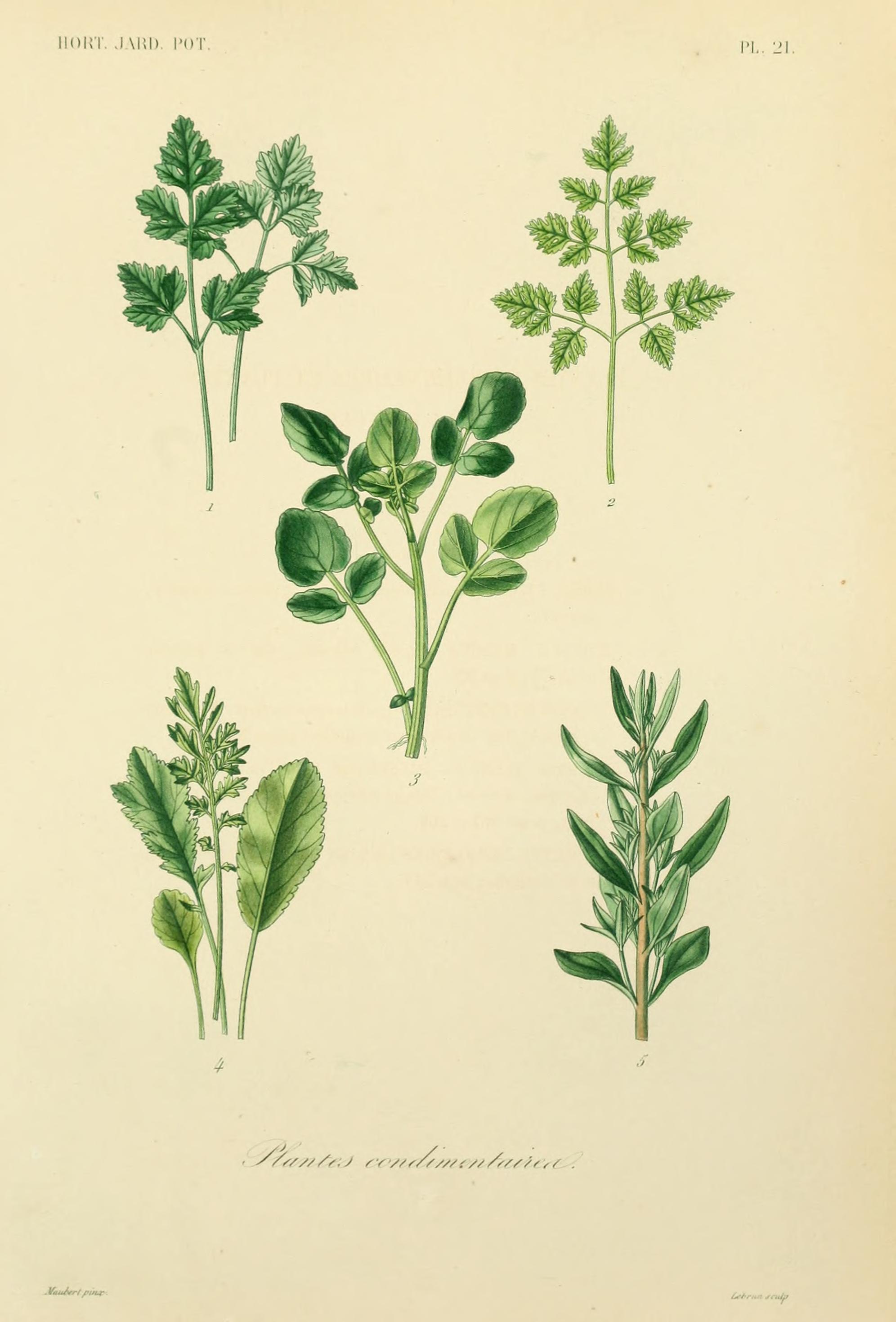 no full size  illustration available (3a)