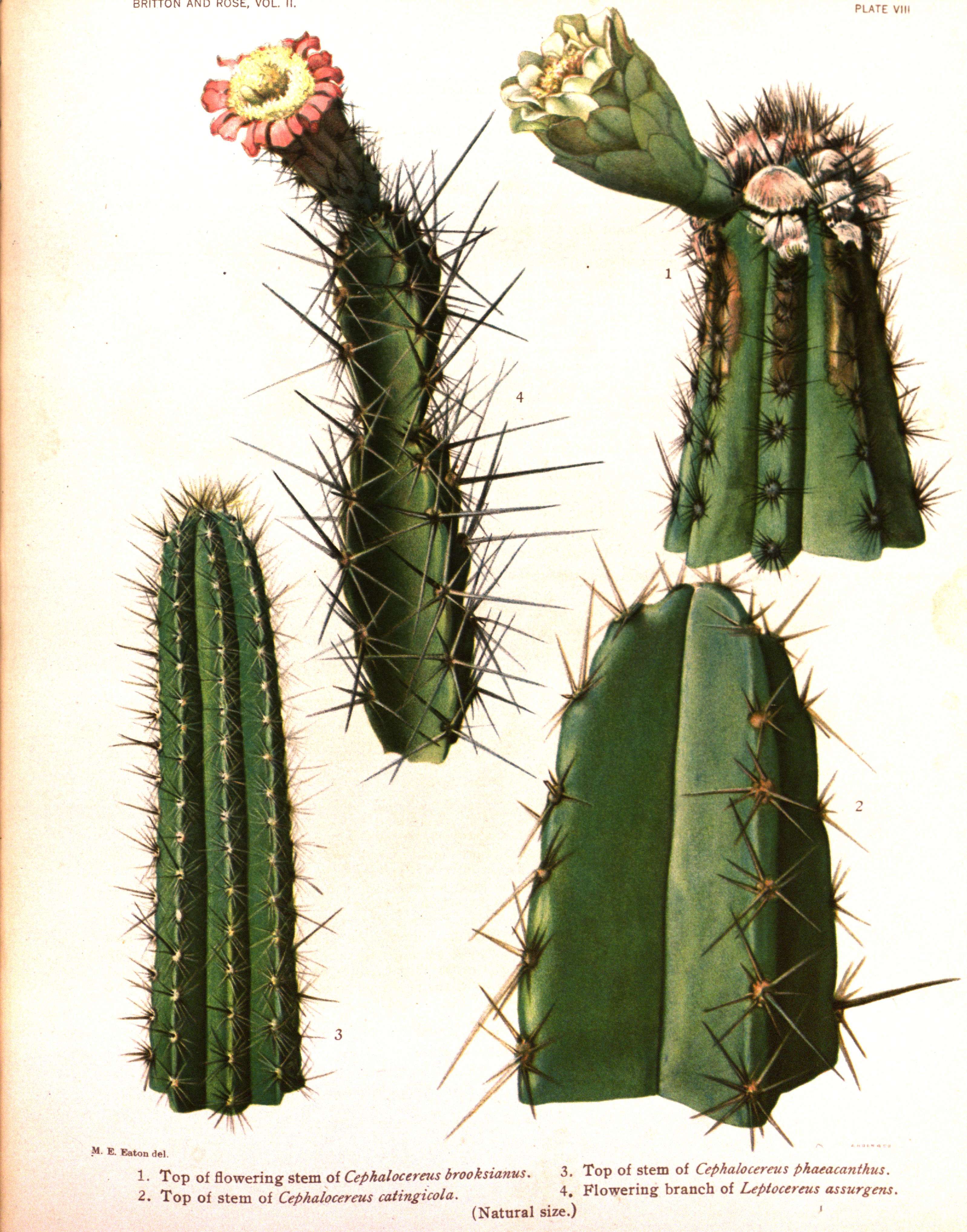 no full size  illustration available (3a)