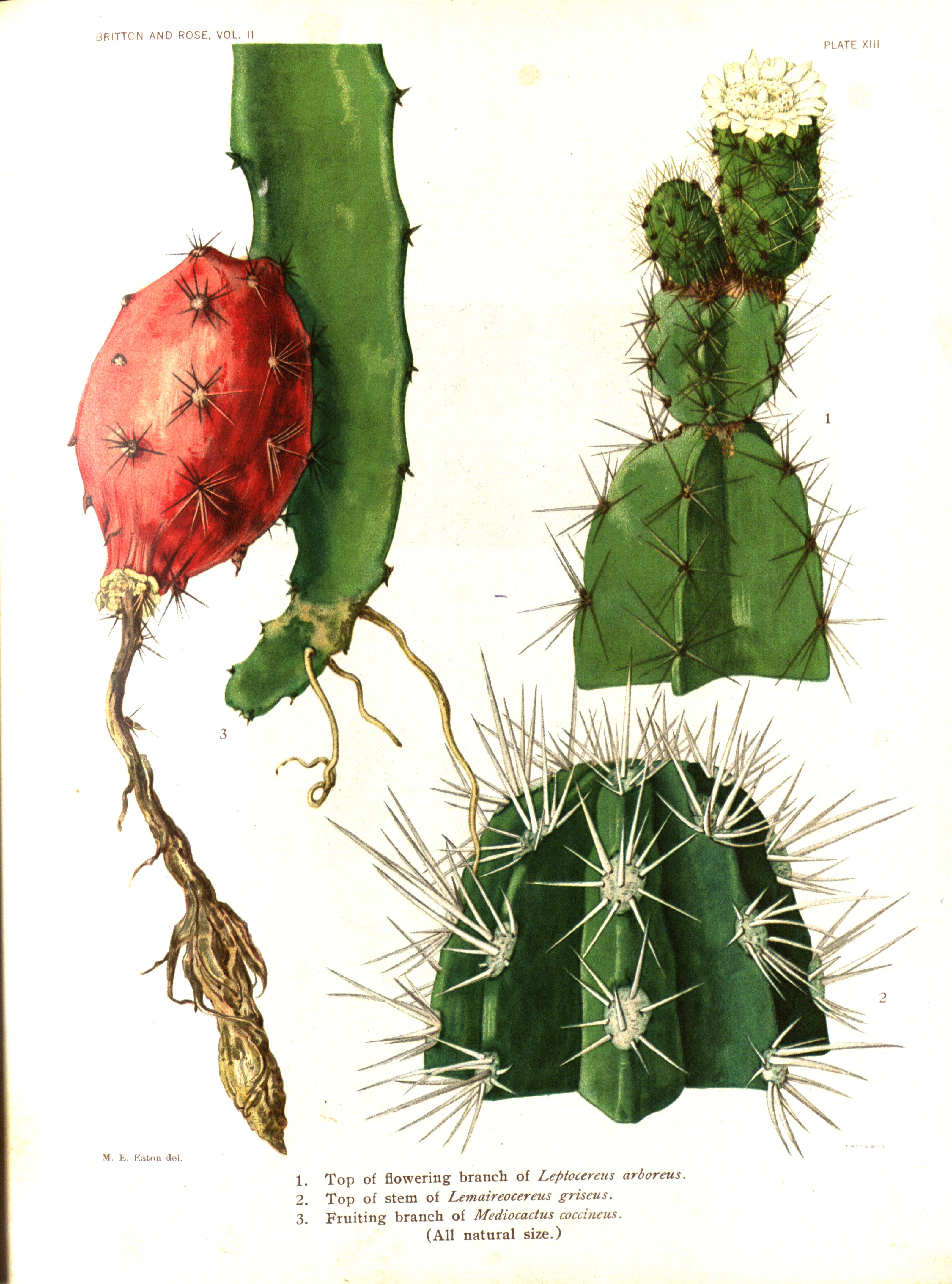 no full size  illustration available (3a)