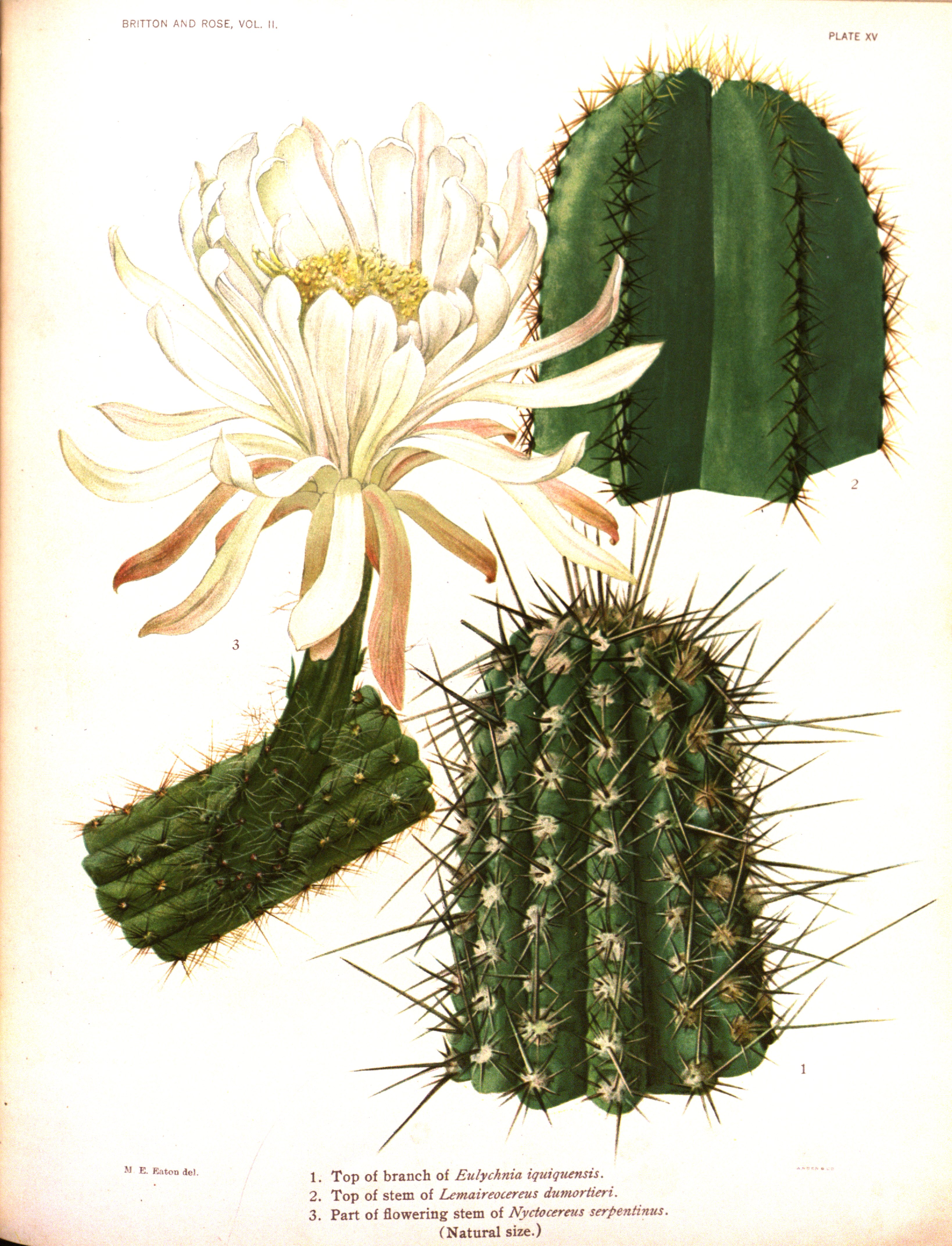 no full size  illustration available (3a)