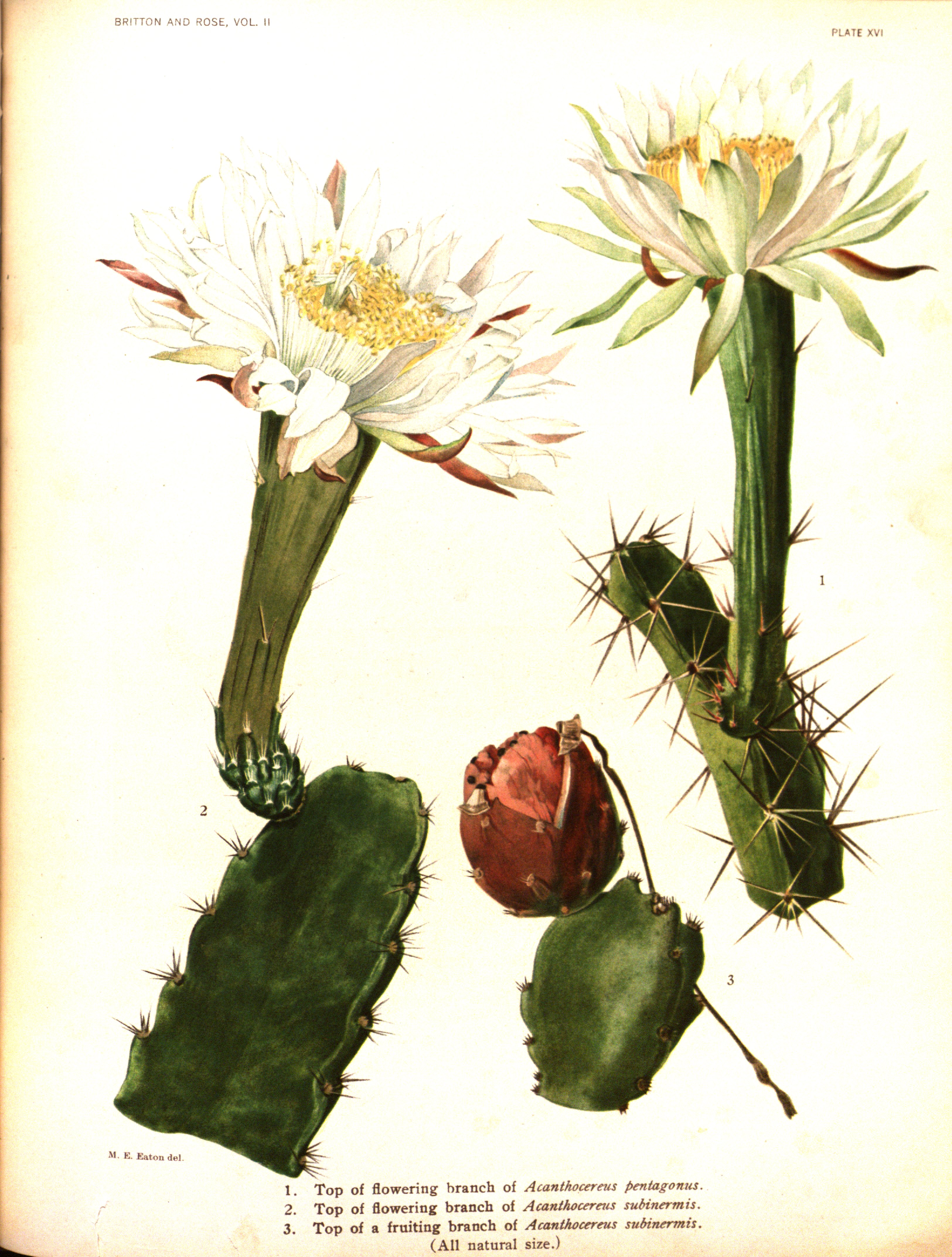 no full size  illustration available (3a)