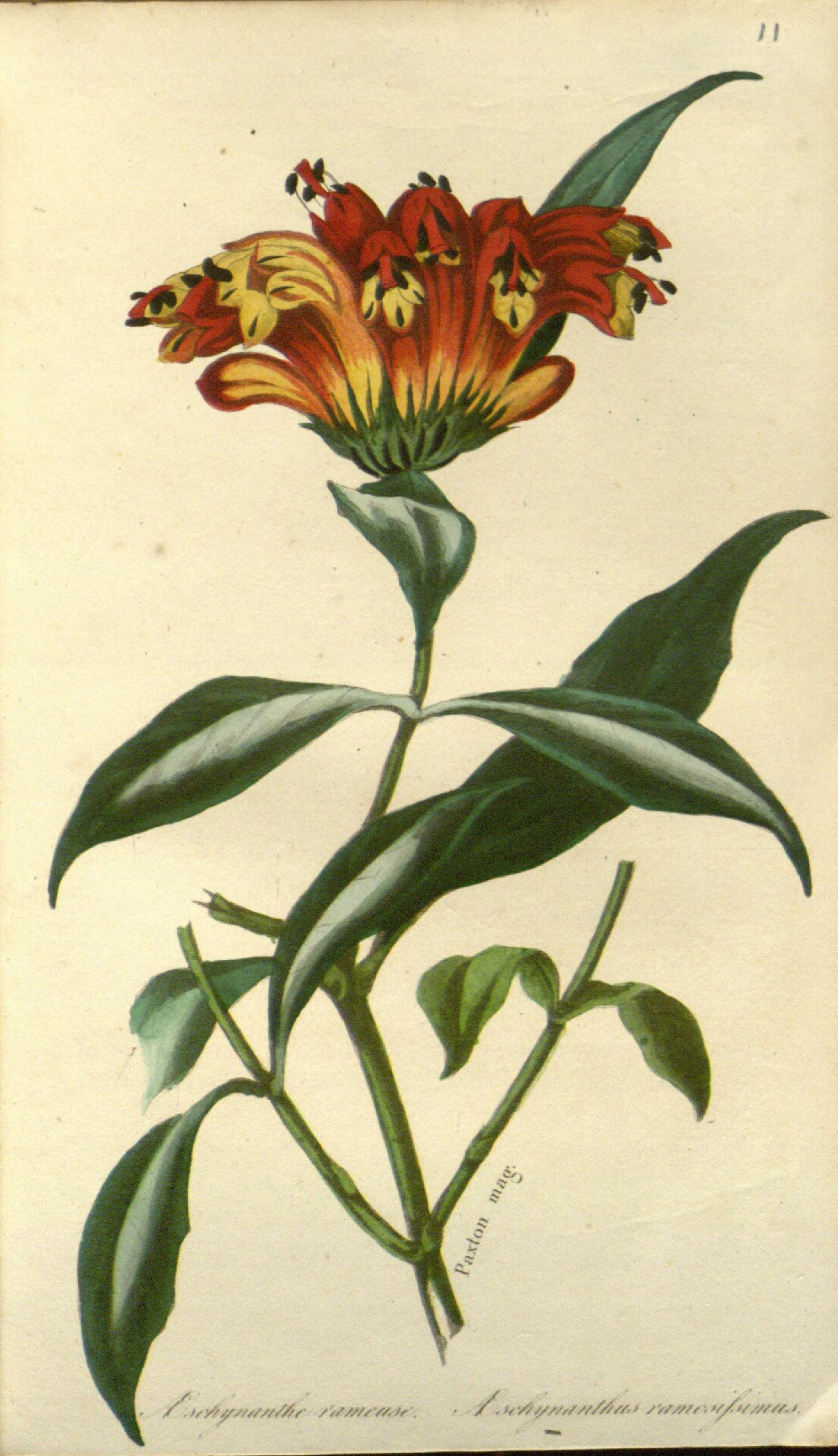 no full size  illustration available (3a)