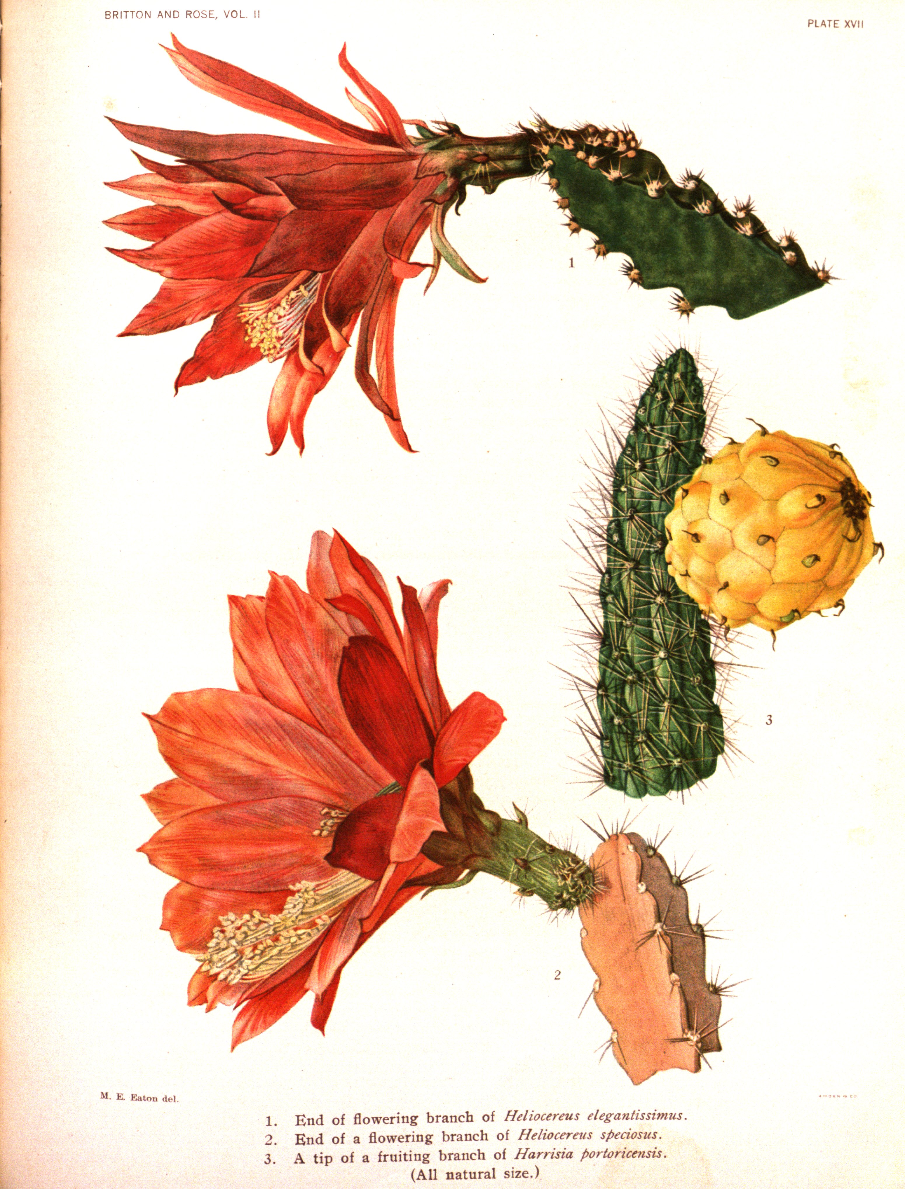 no full size  illustration available (3a)