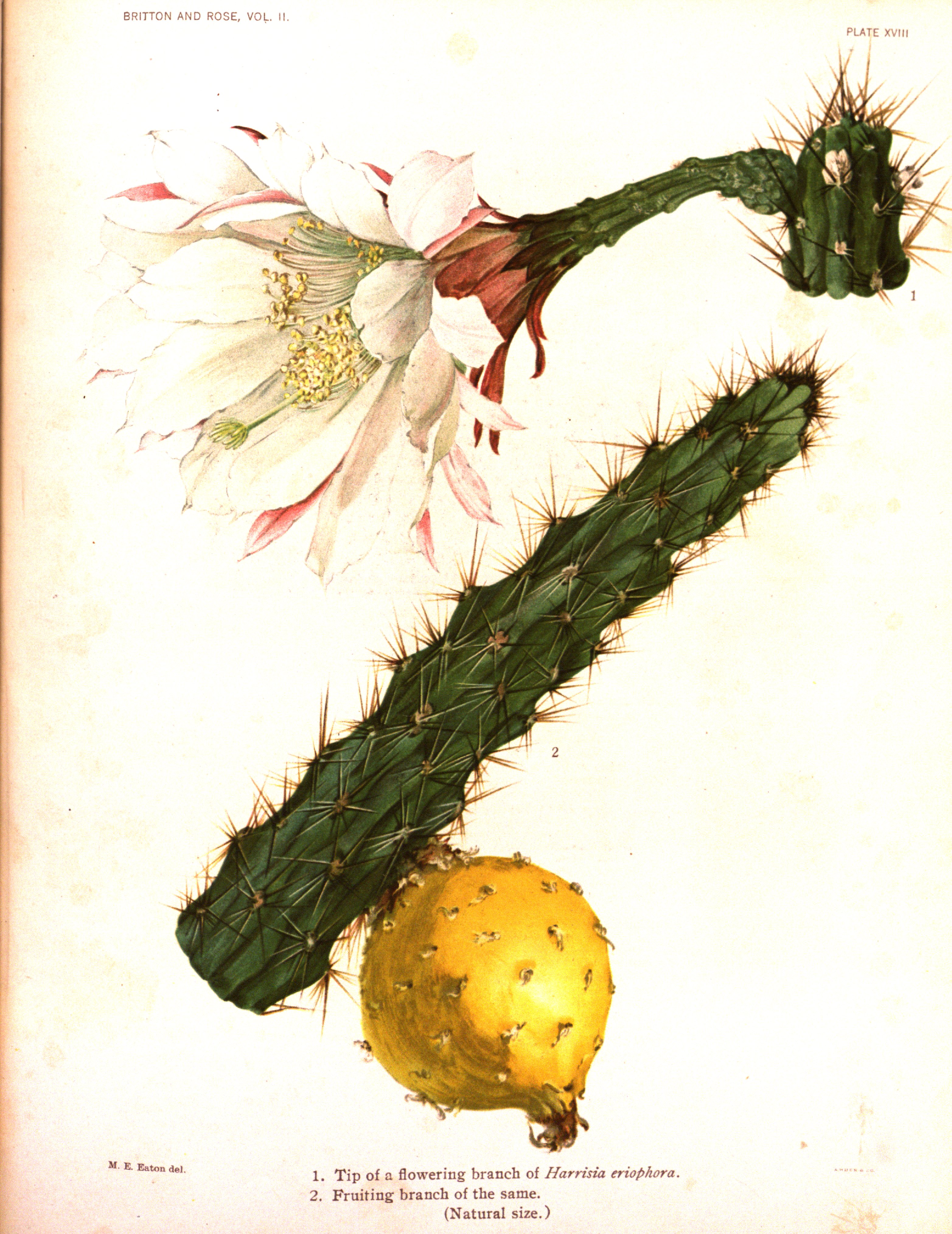 no full size  illustration available (3a)