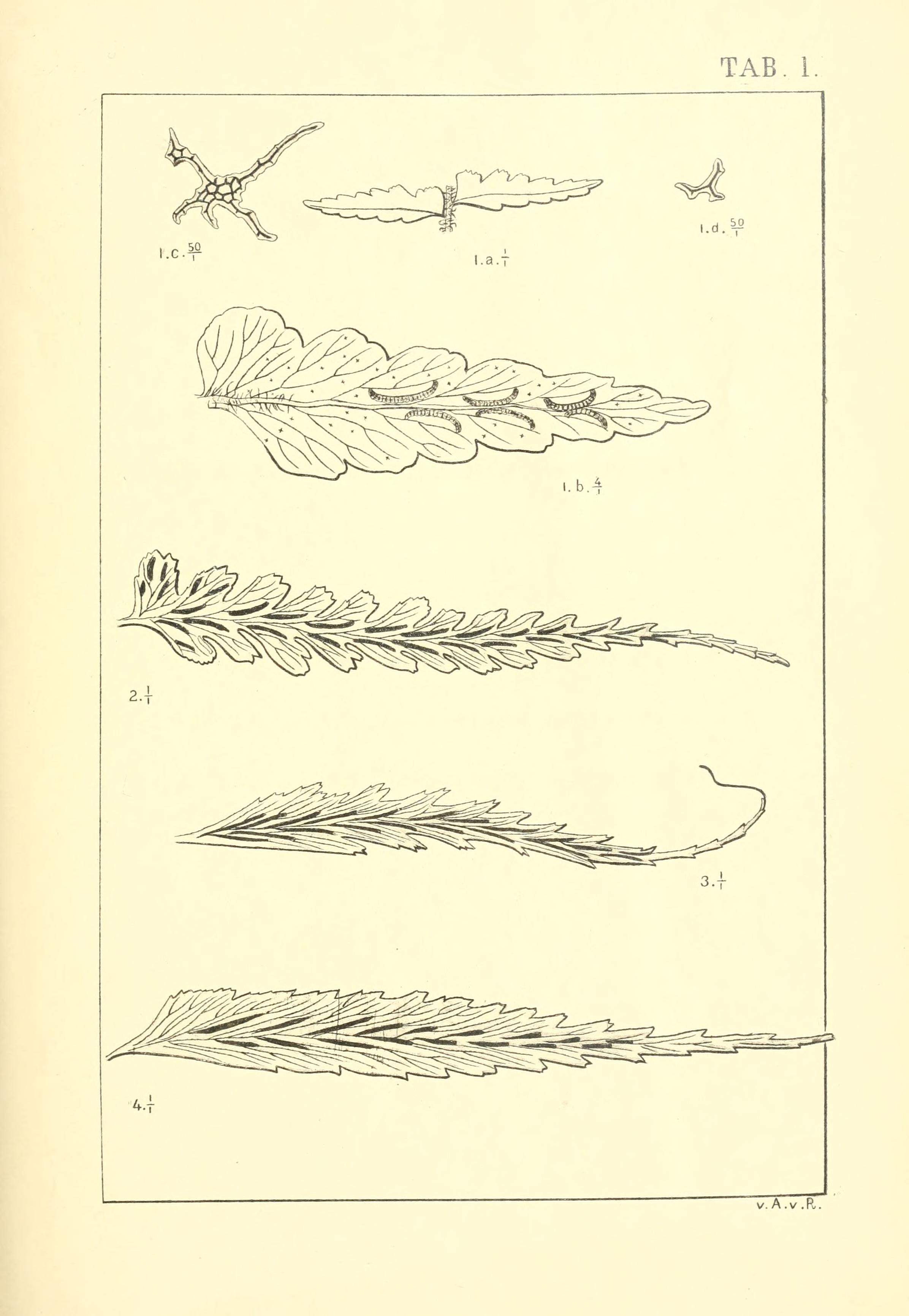 no full size  illustration available (3a)