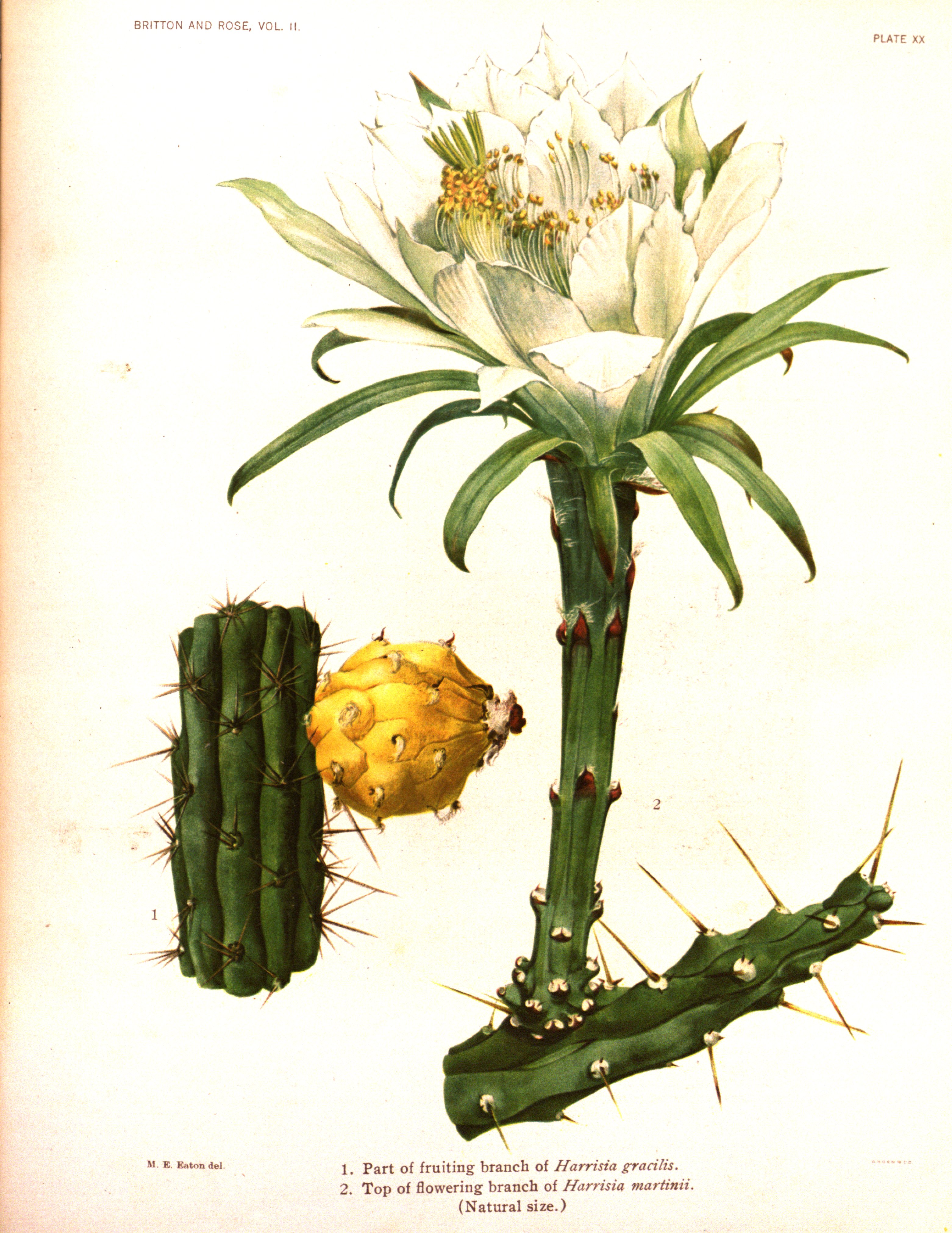 no full size  illustration available (3a)