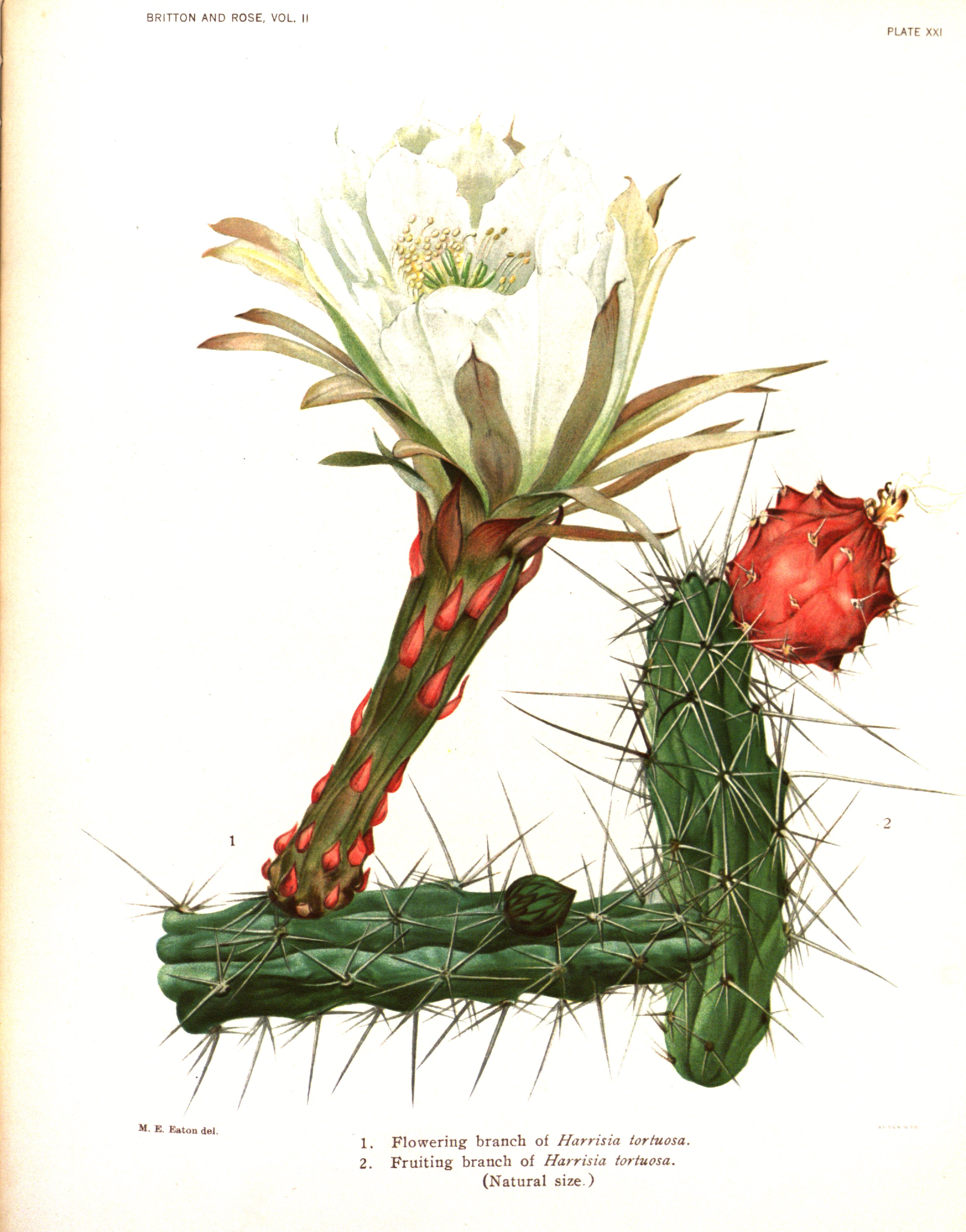 no full size  illustration available (3a)