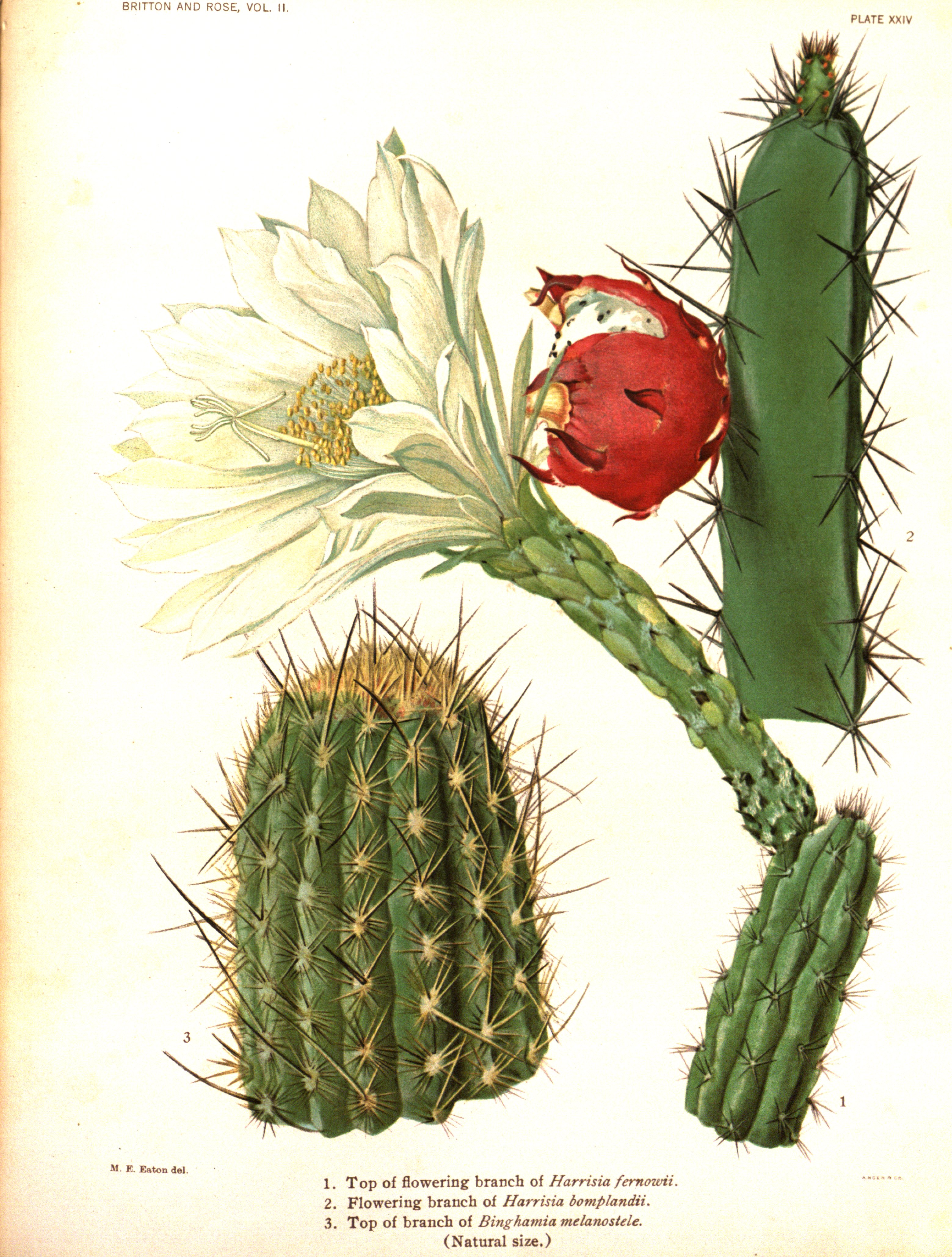 no full size  illustration available (3a)