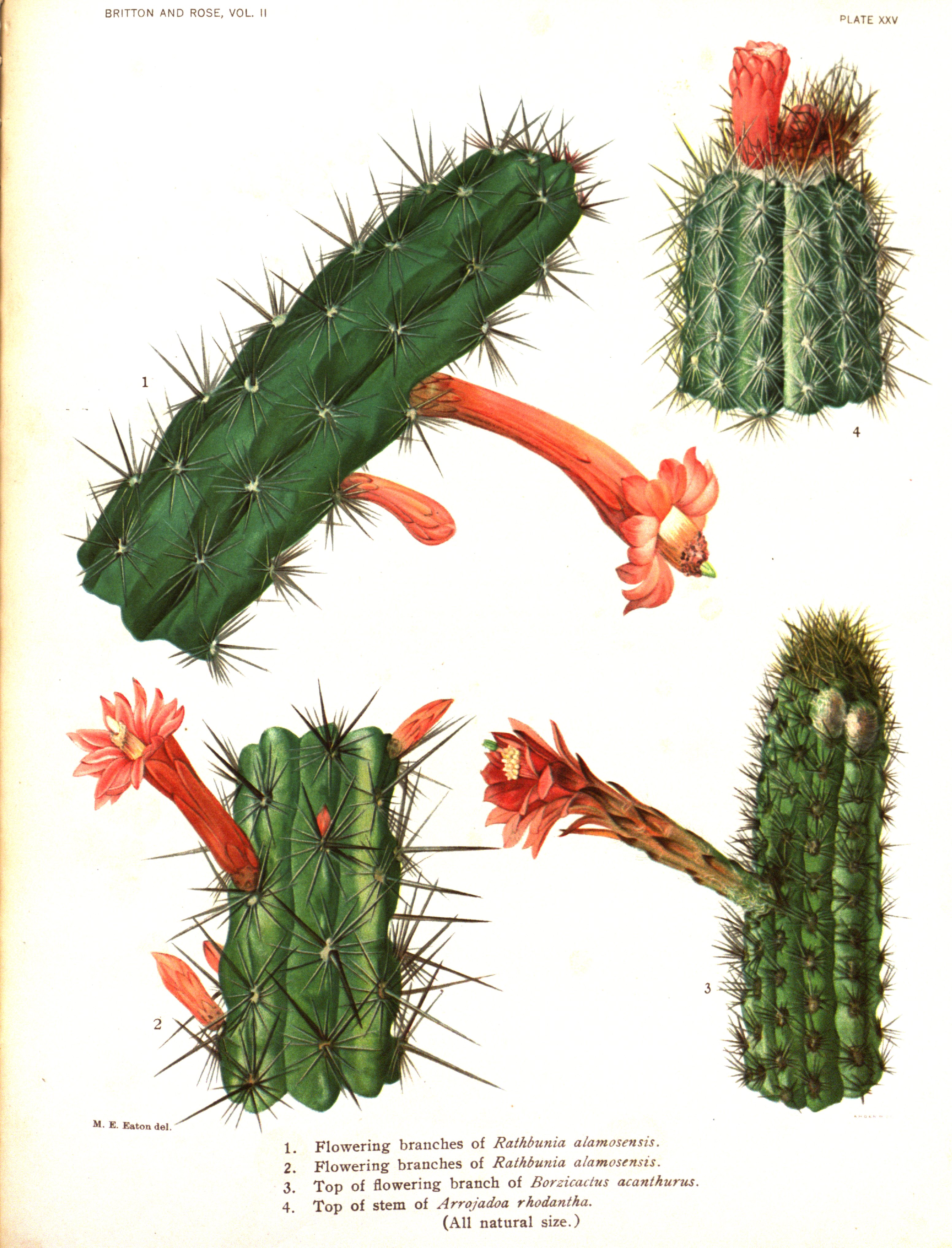 no full size  illustration available (3a)