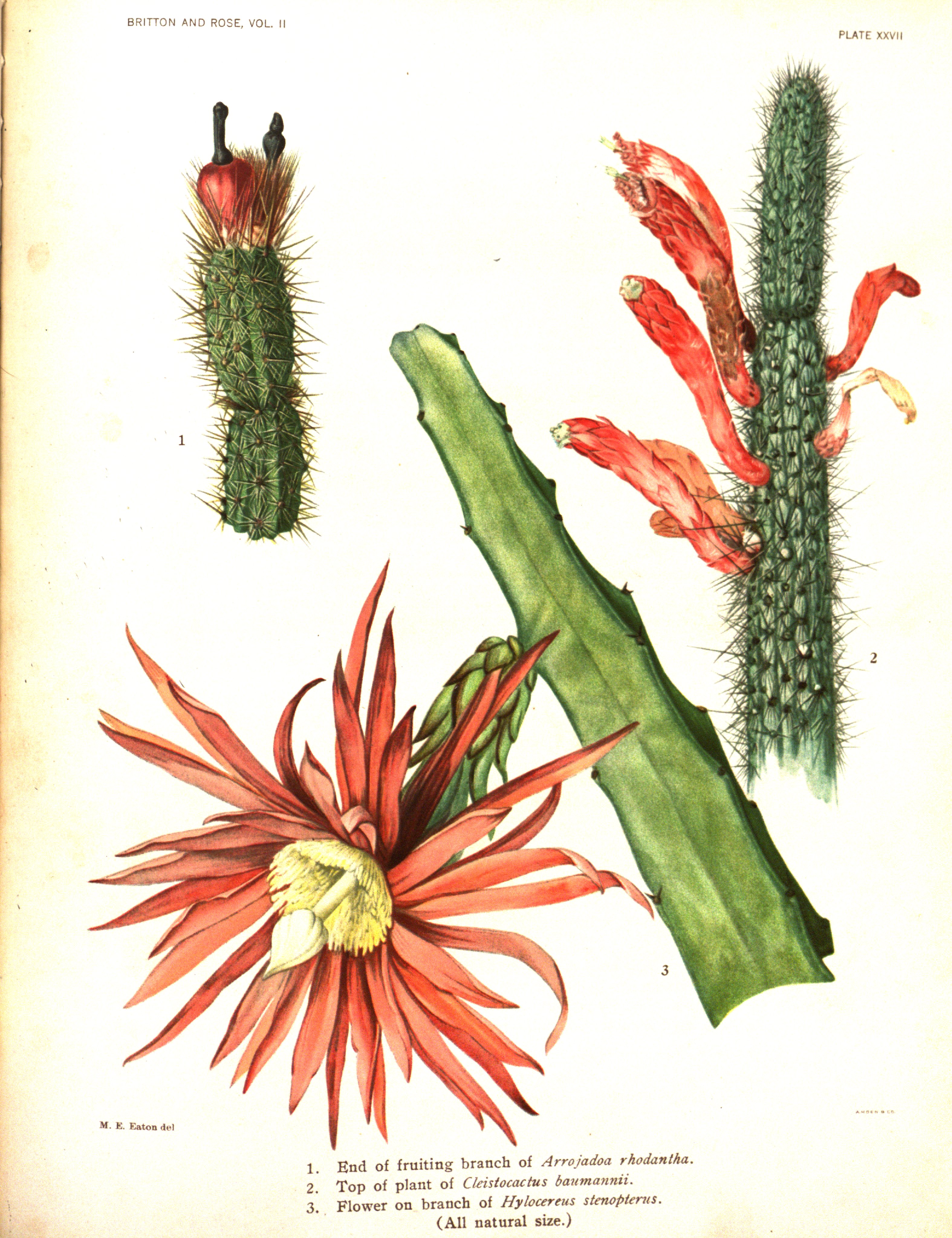 no full size  illustration available (3a)