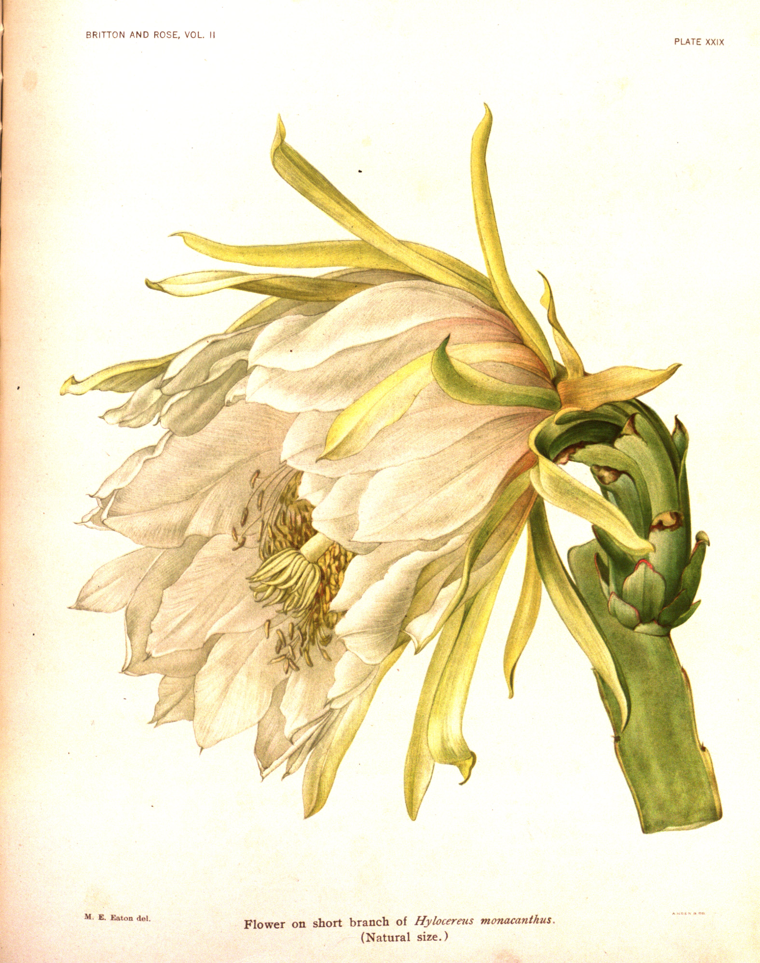 no full size  illustration available (3a)