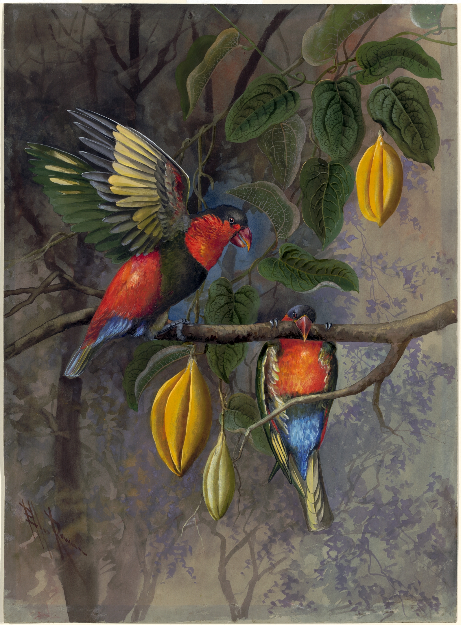 no full size  illustration available (3a)