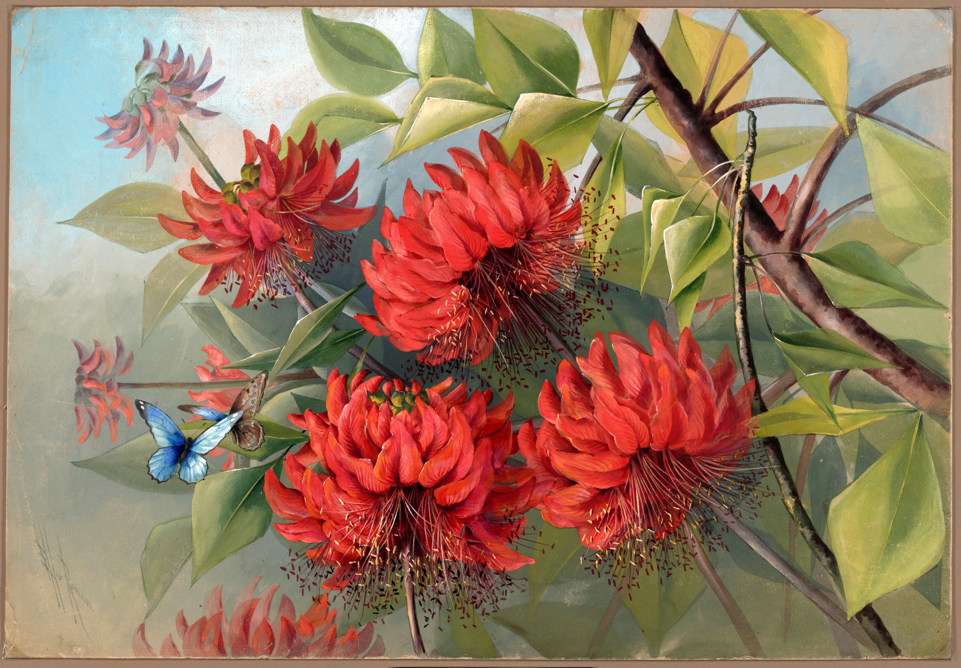 no full size  illustration available (3a)