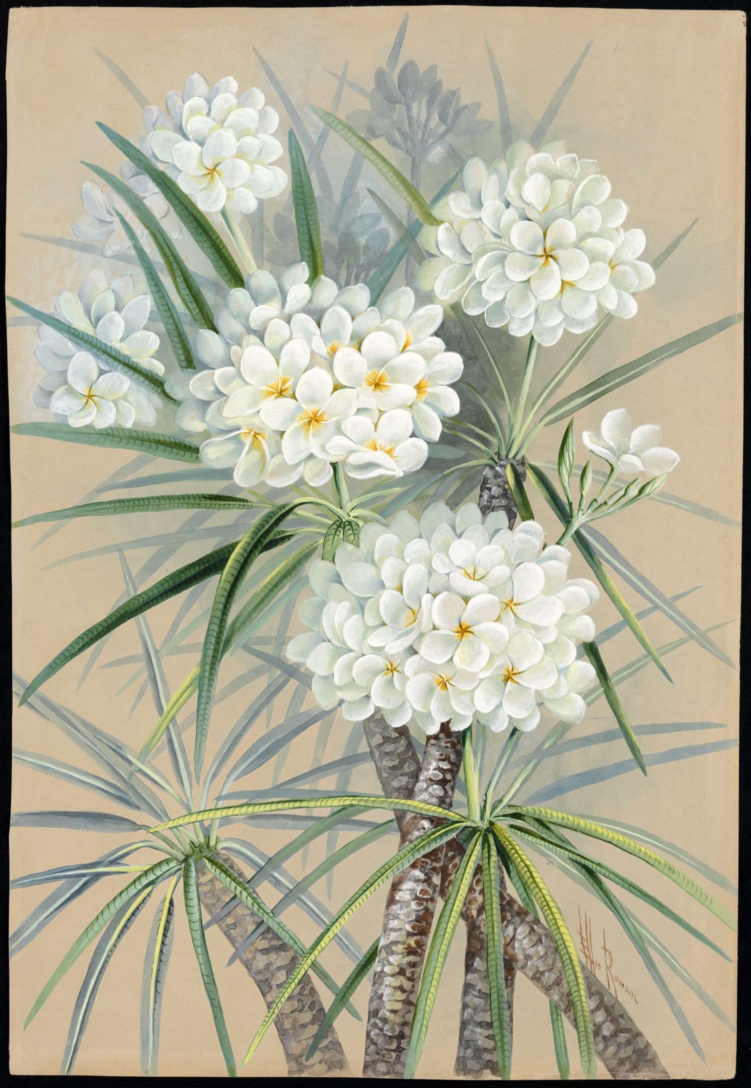 no full size  illustration available (3a)