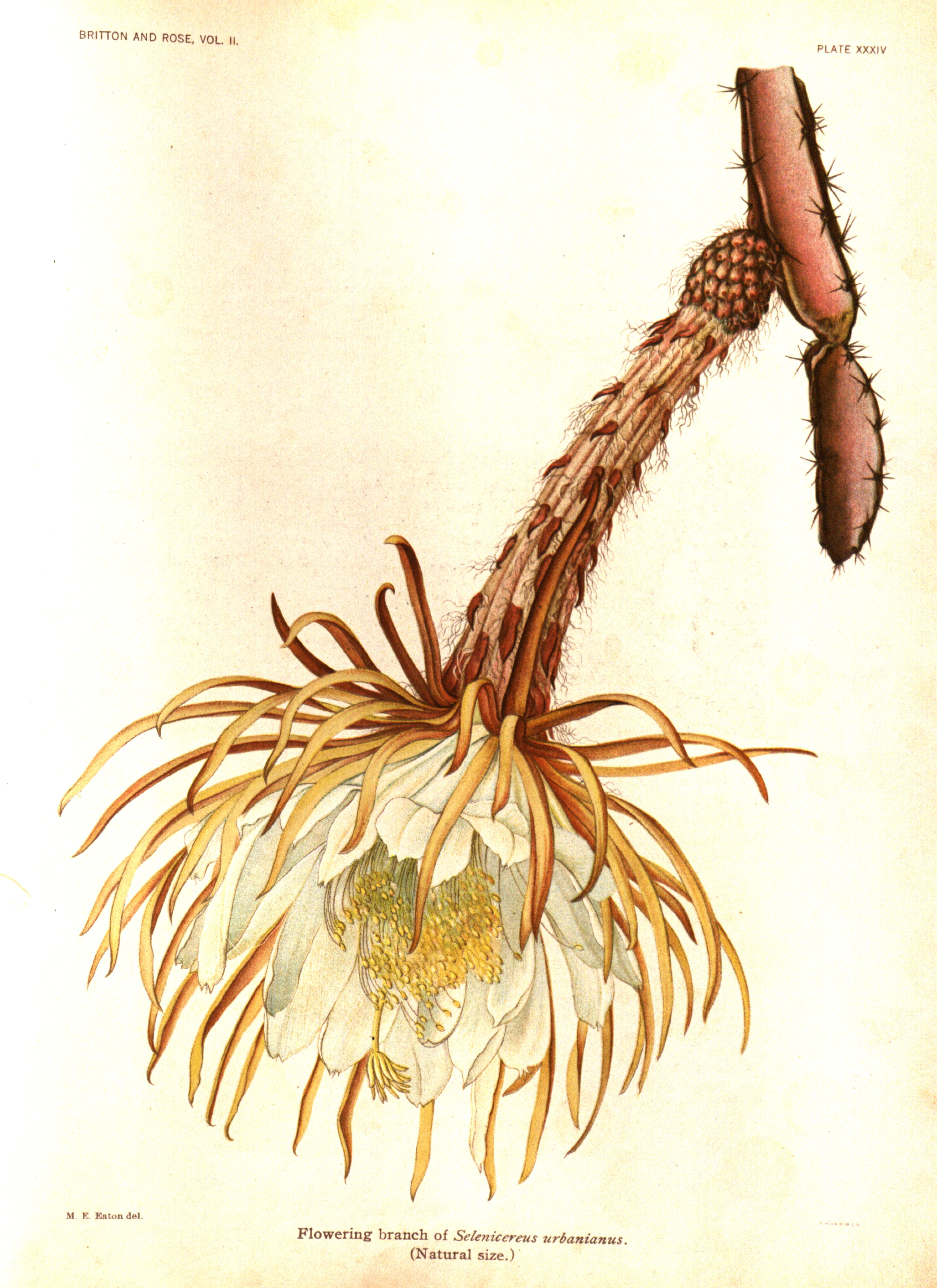 no full size  illustration available (3a)