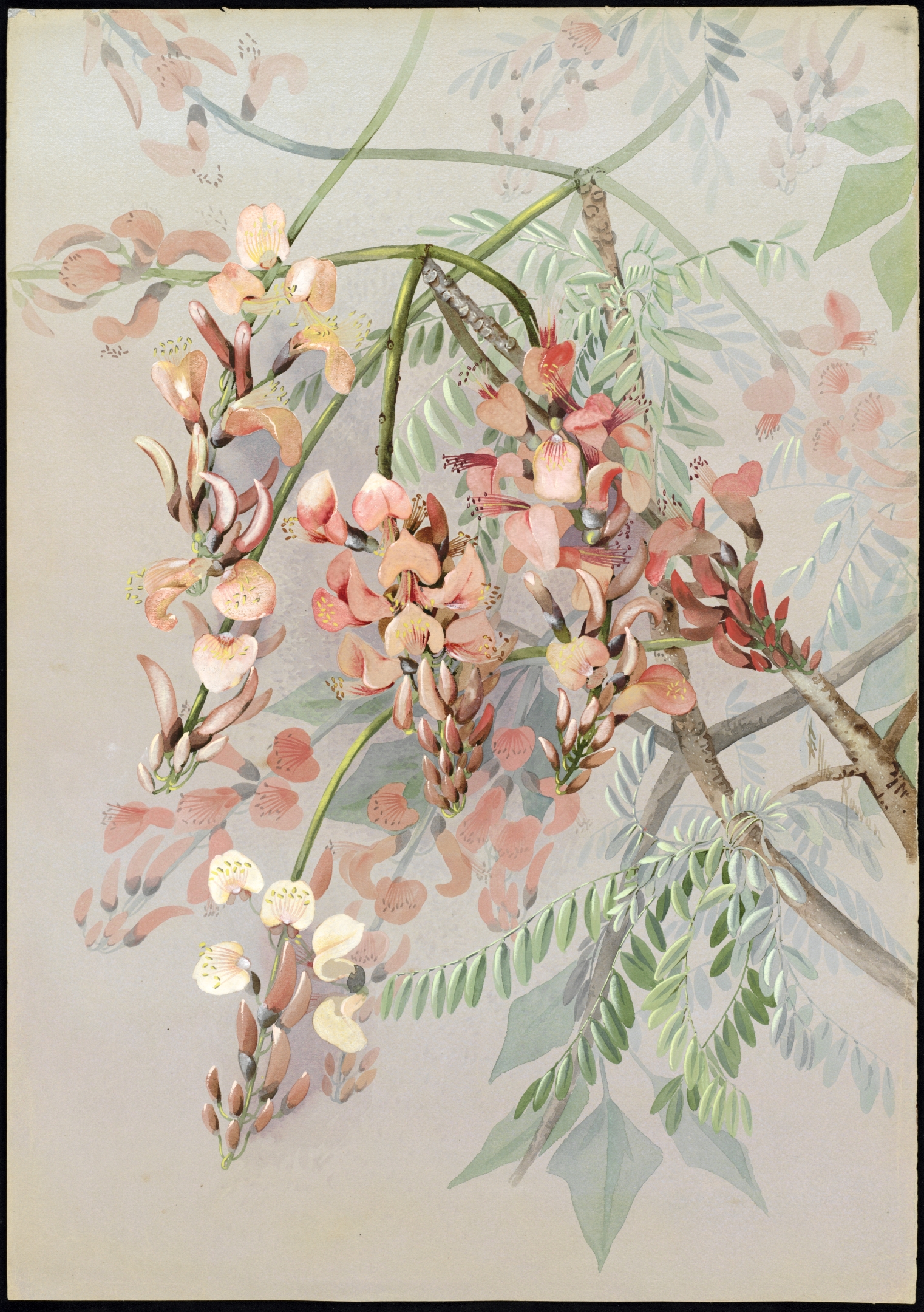 no full size  illustration available (3a)