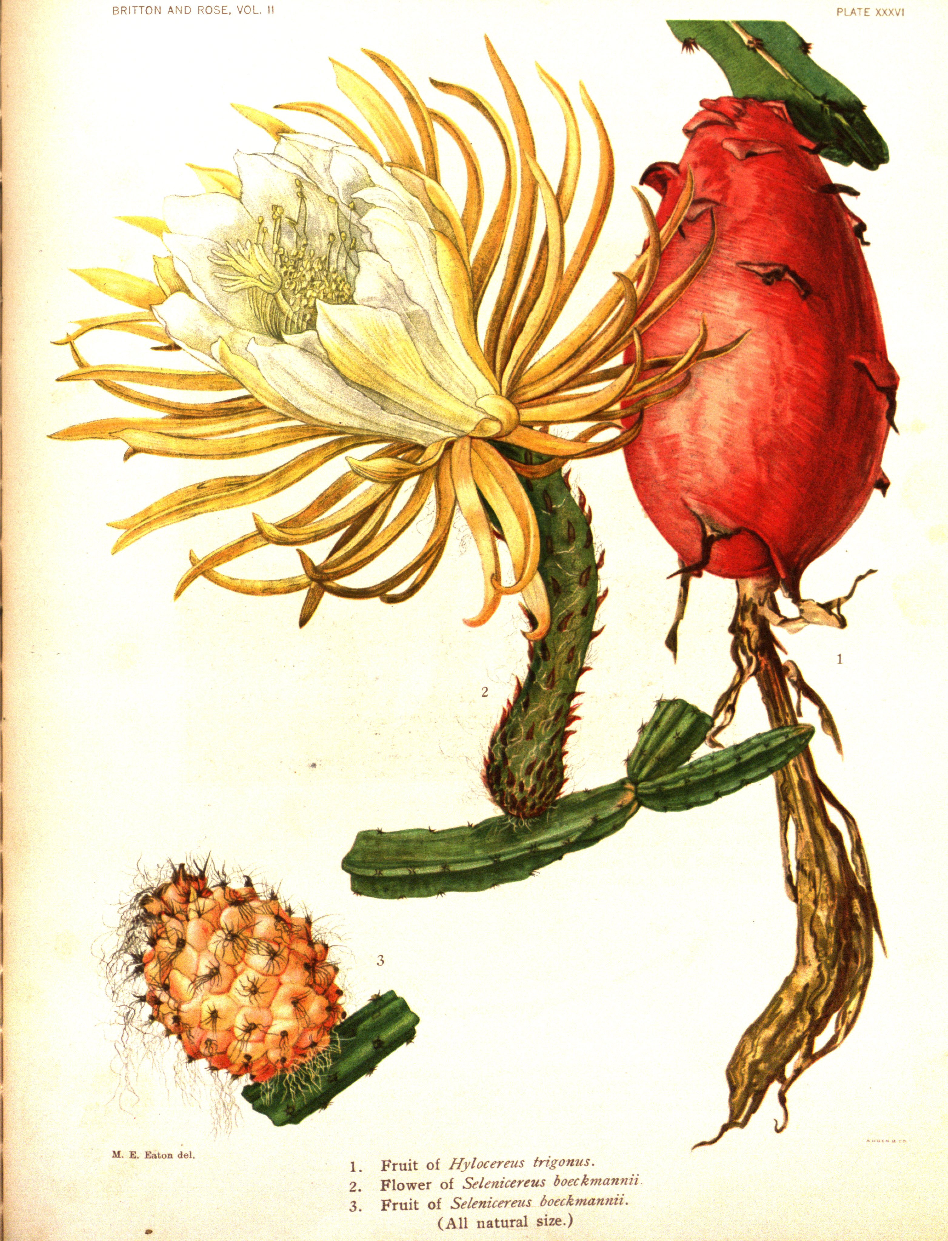 no full size  illustration available (3a)