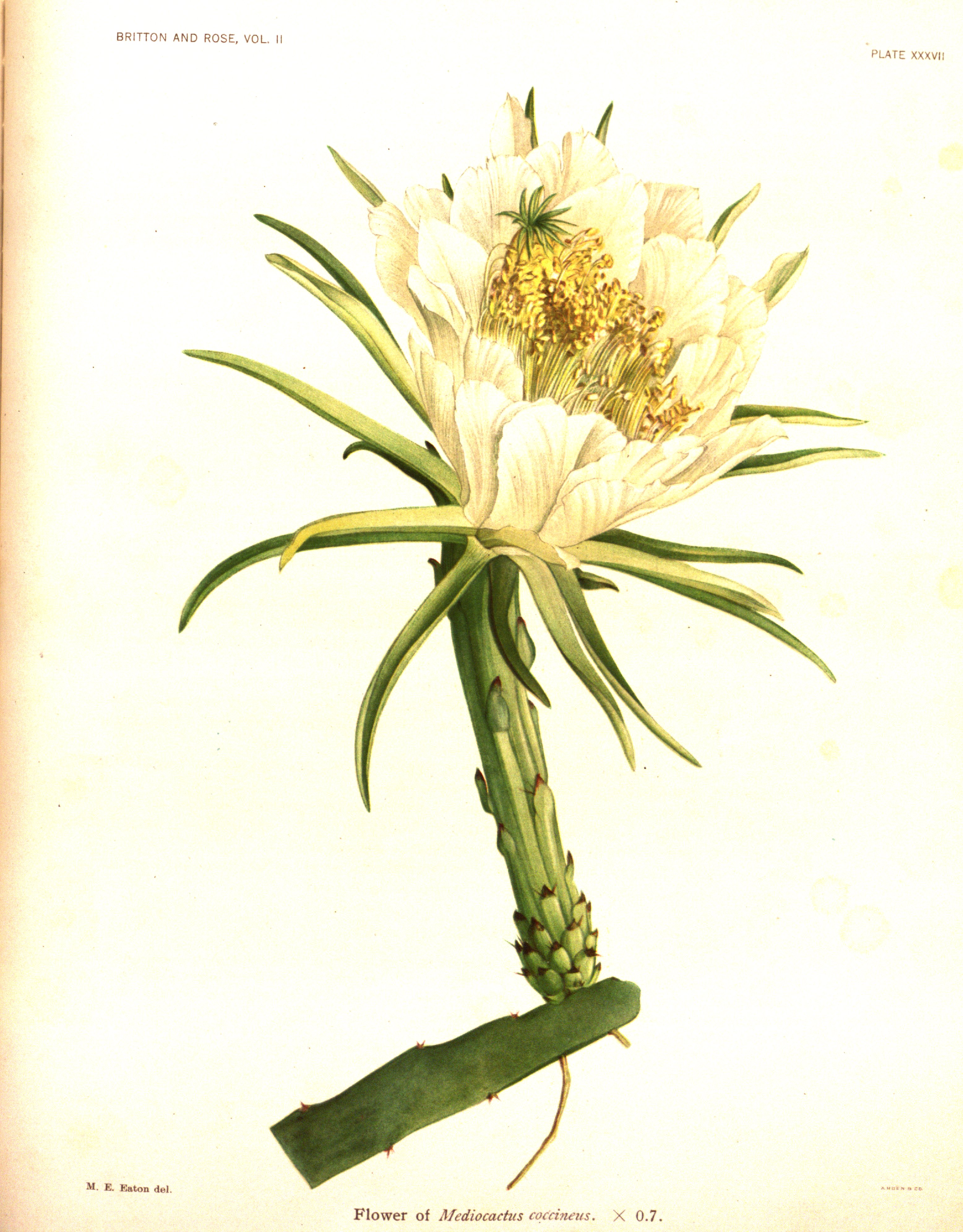 no full size  illustration available (3a)