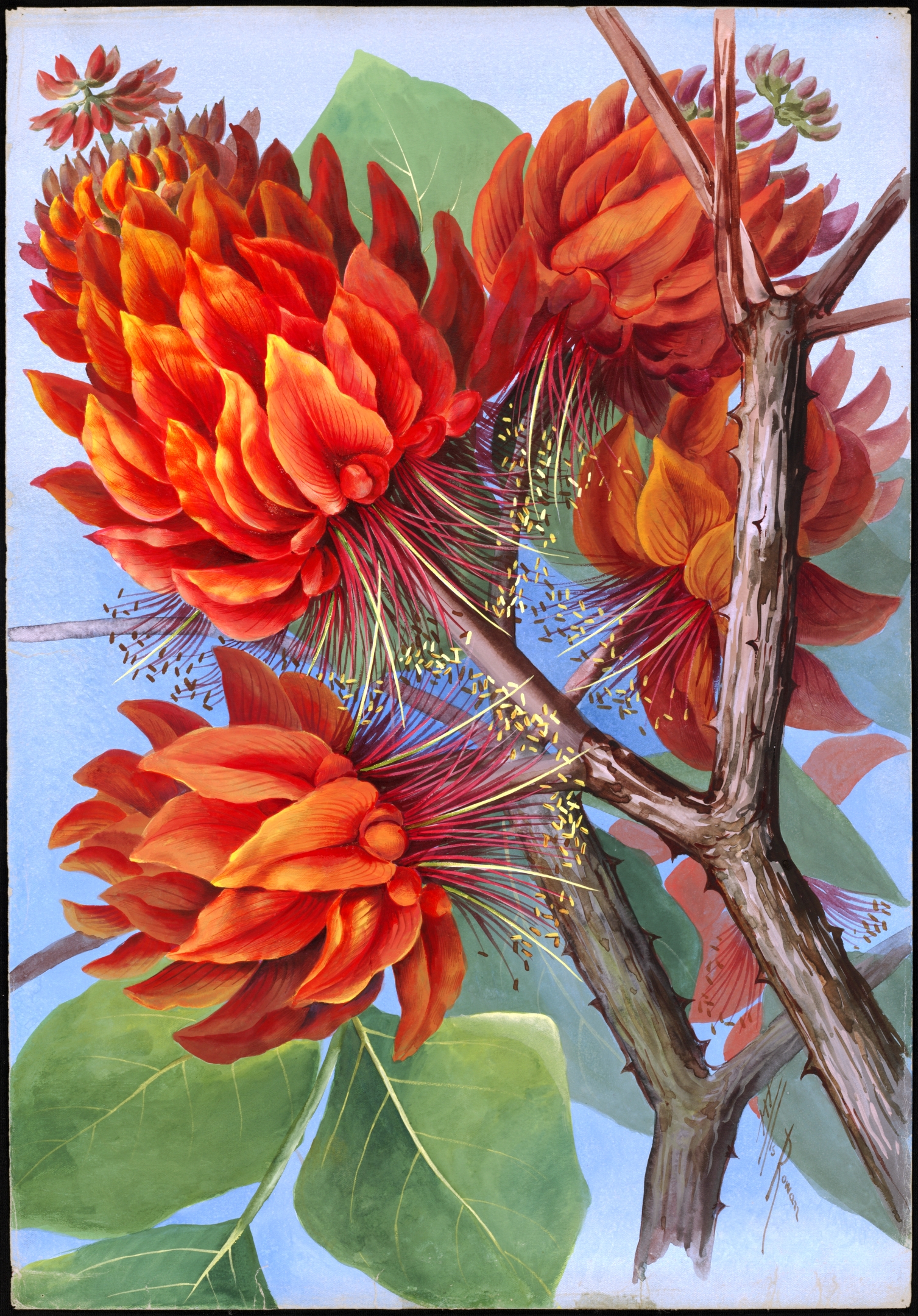 no full size  illustration available (3a)