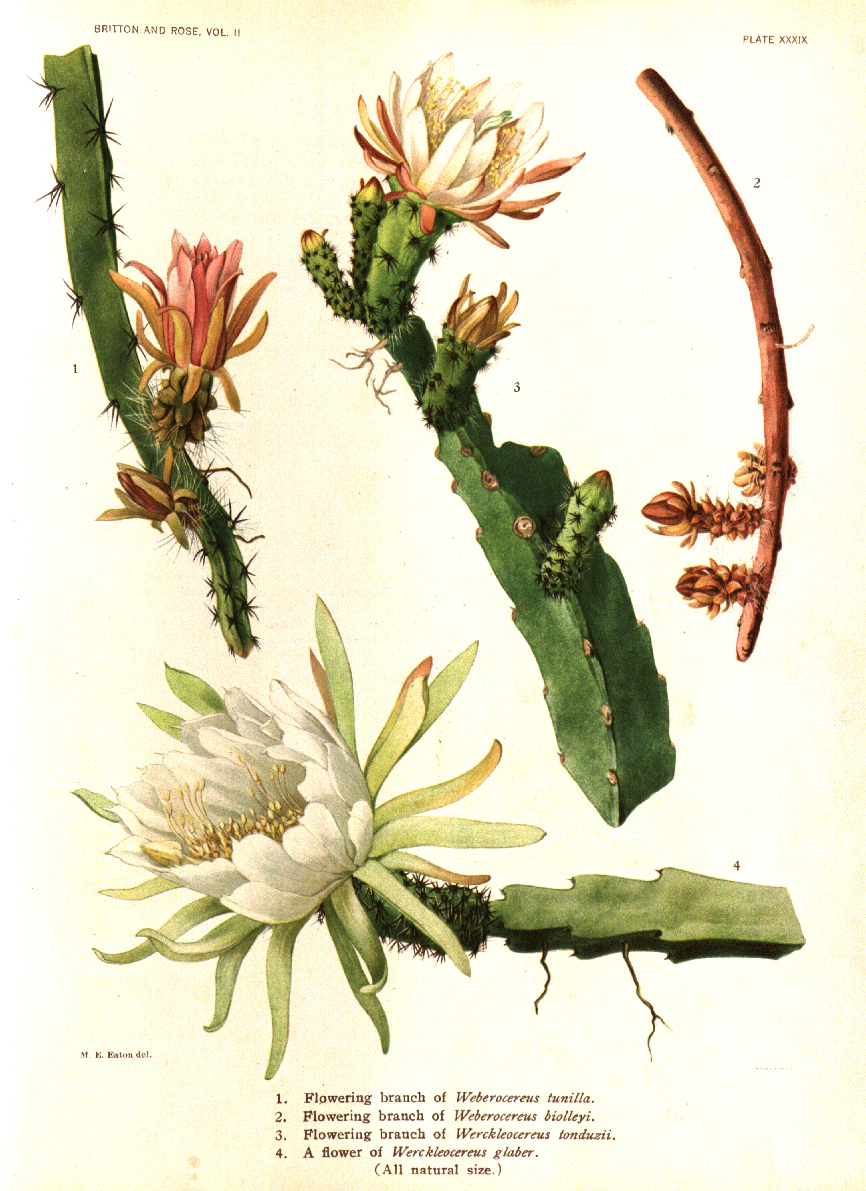 no full size  illustration available (3a)