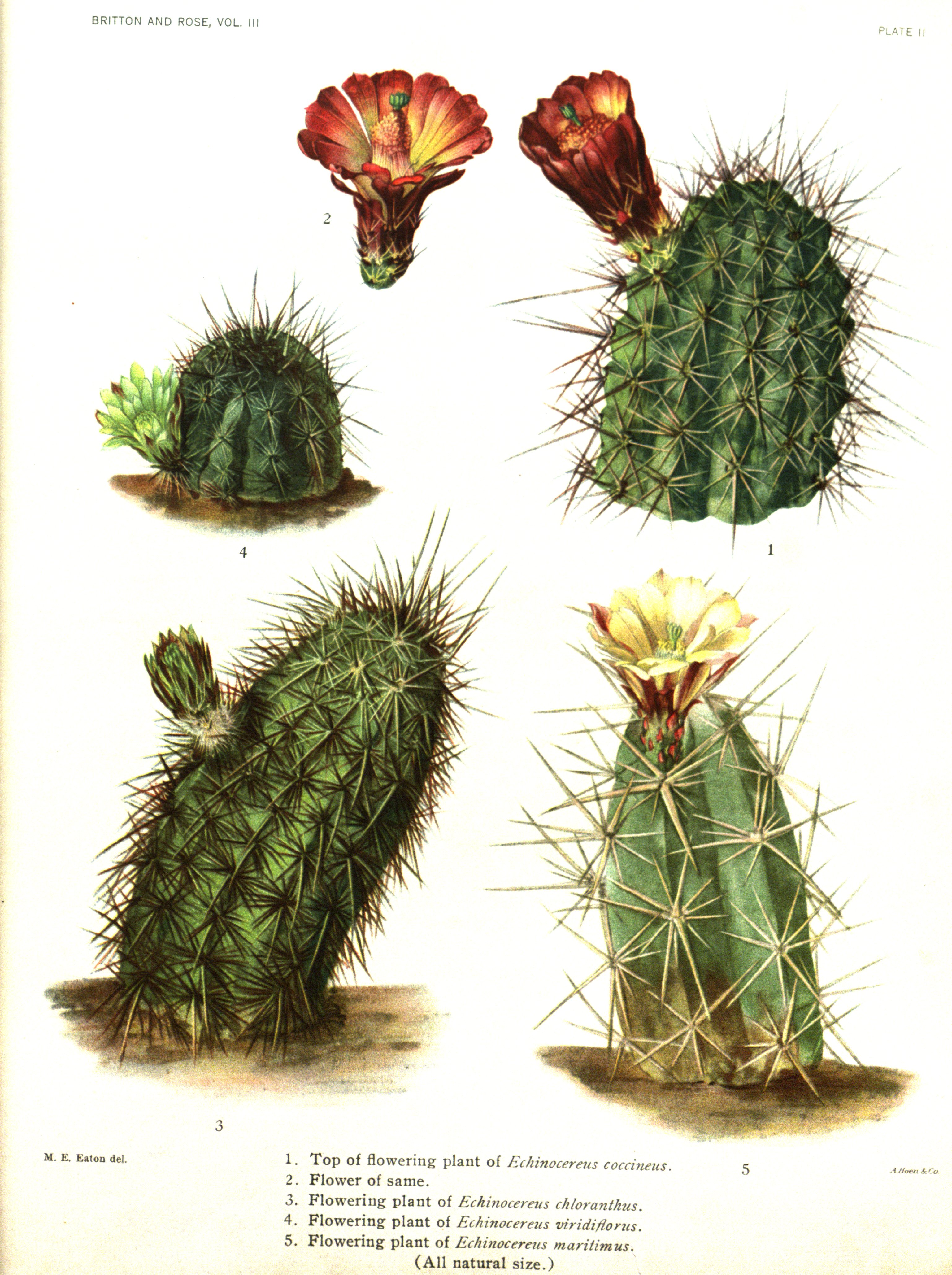 no full size  illustration available (3a)