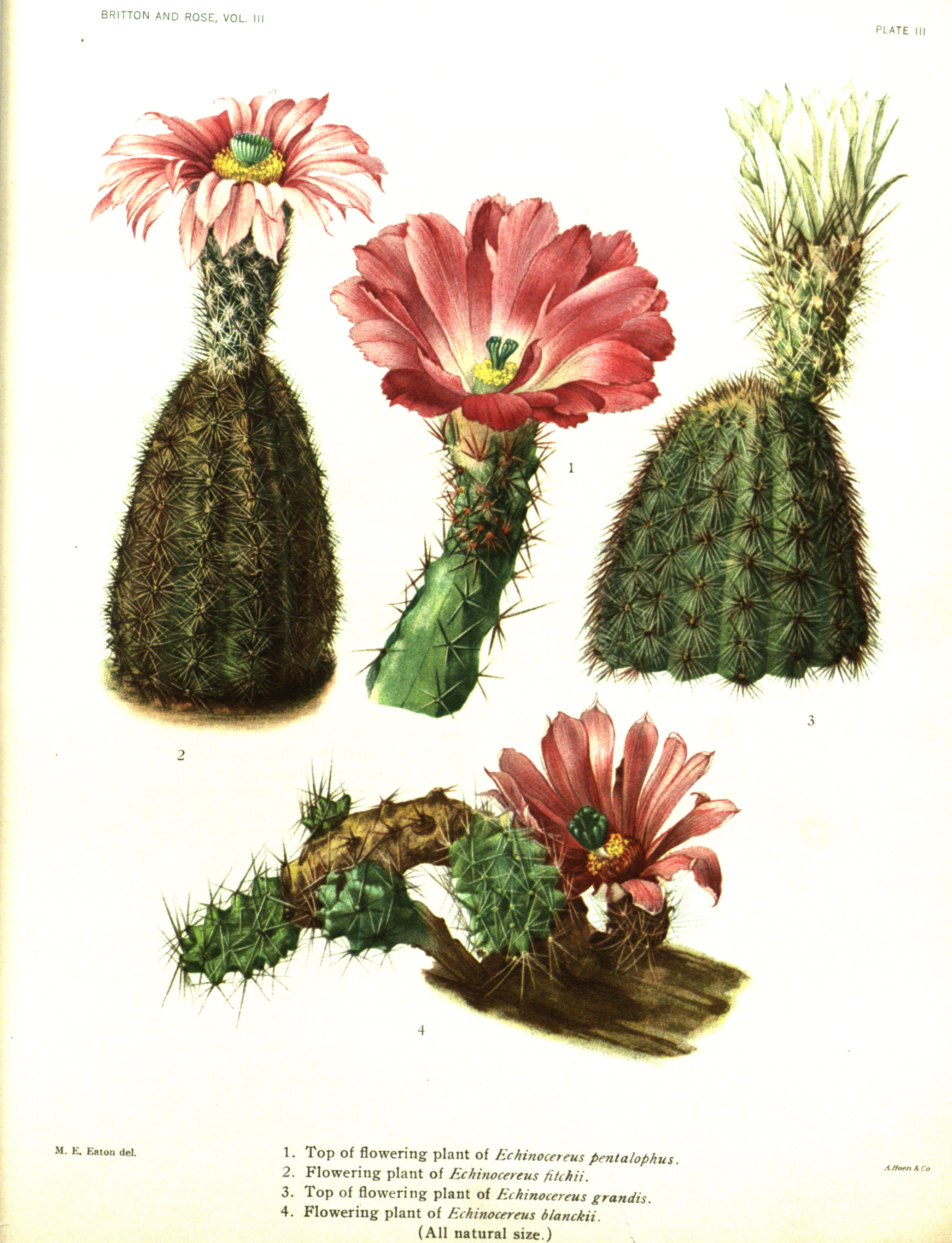 no full size  illustration available (3a)