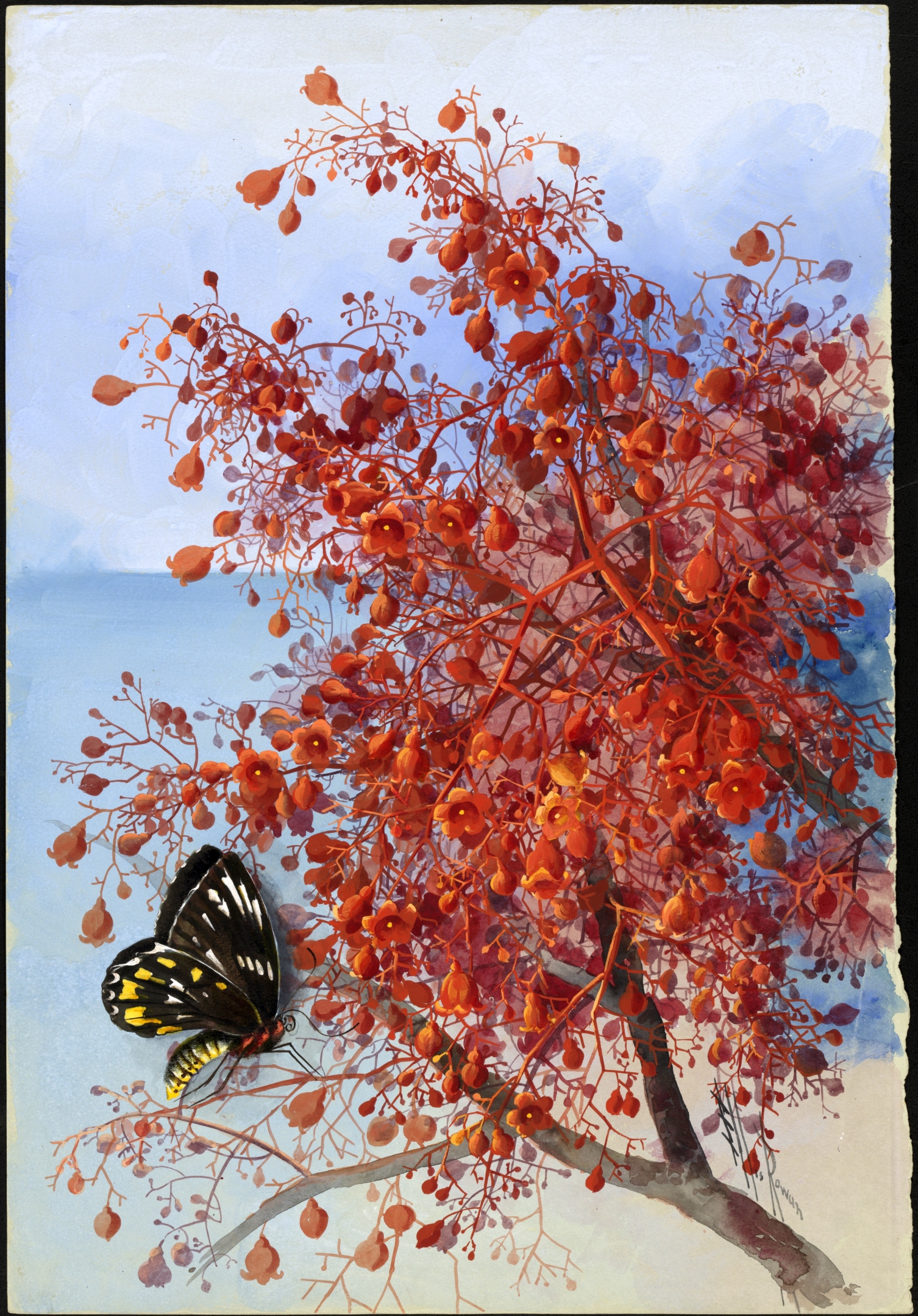 no full size  illustration available (3a)